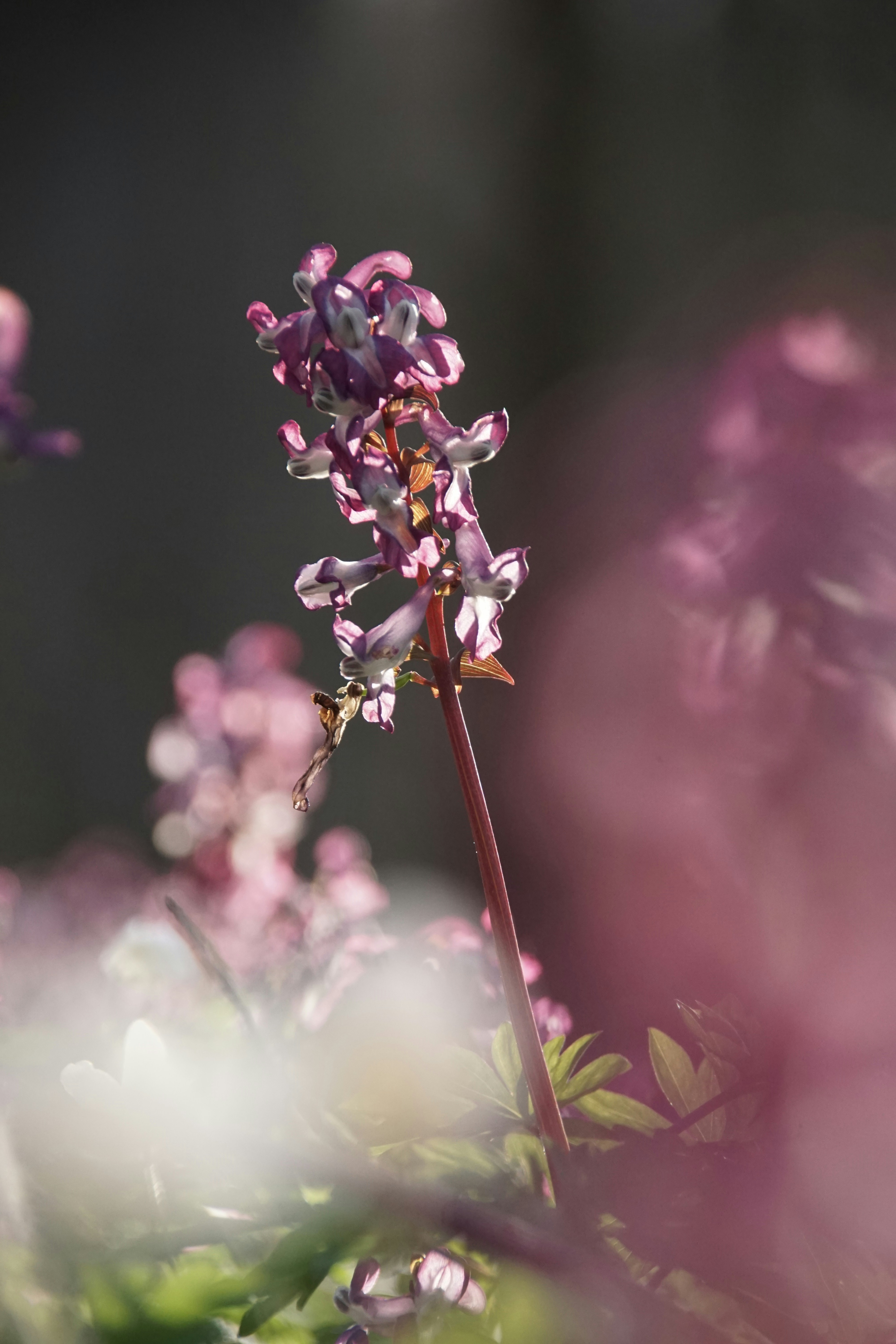 Photo by danielschuh