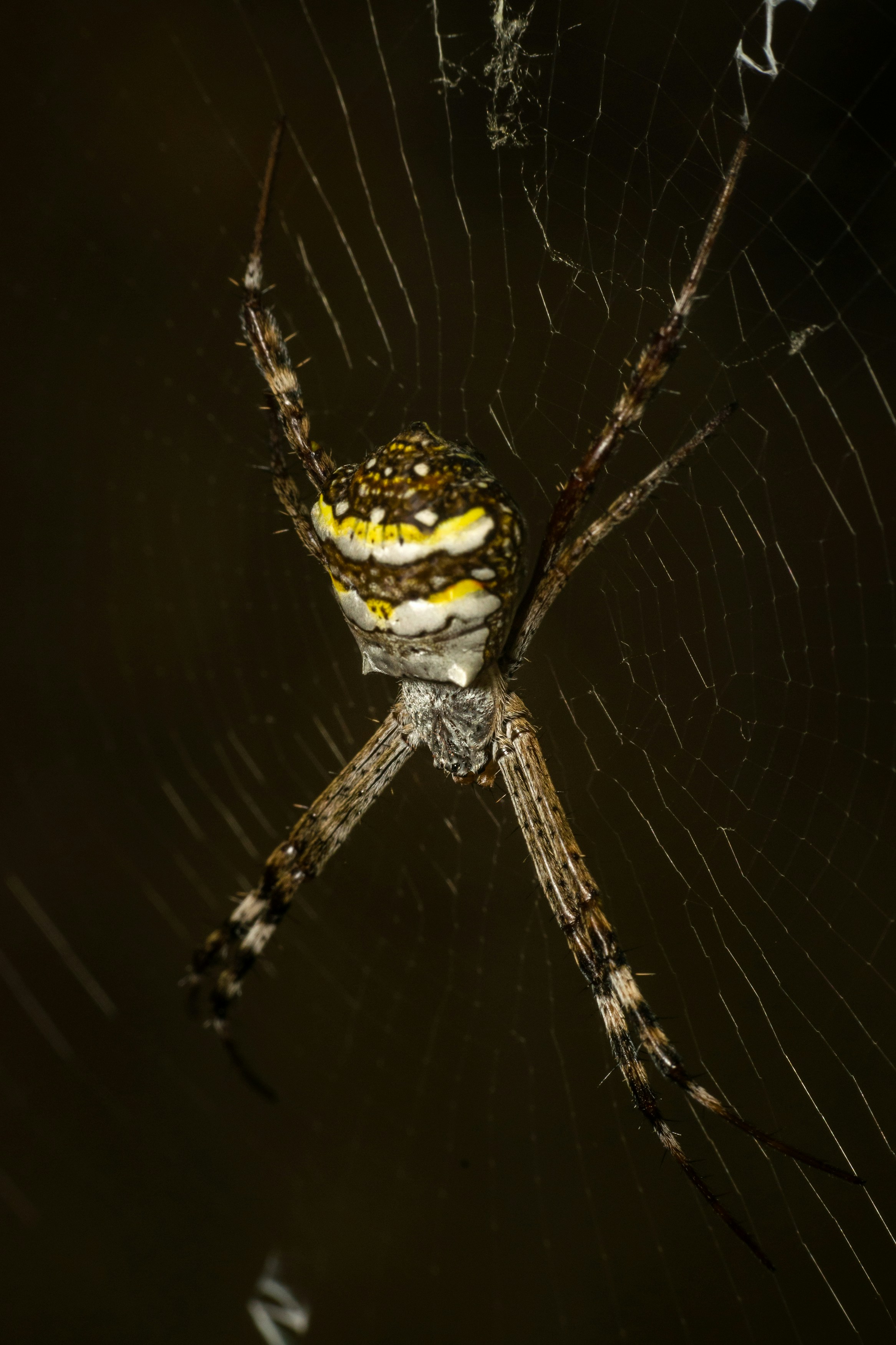 Photo by sonika_agarwal