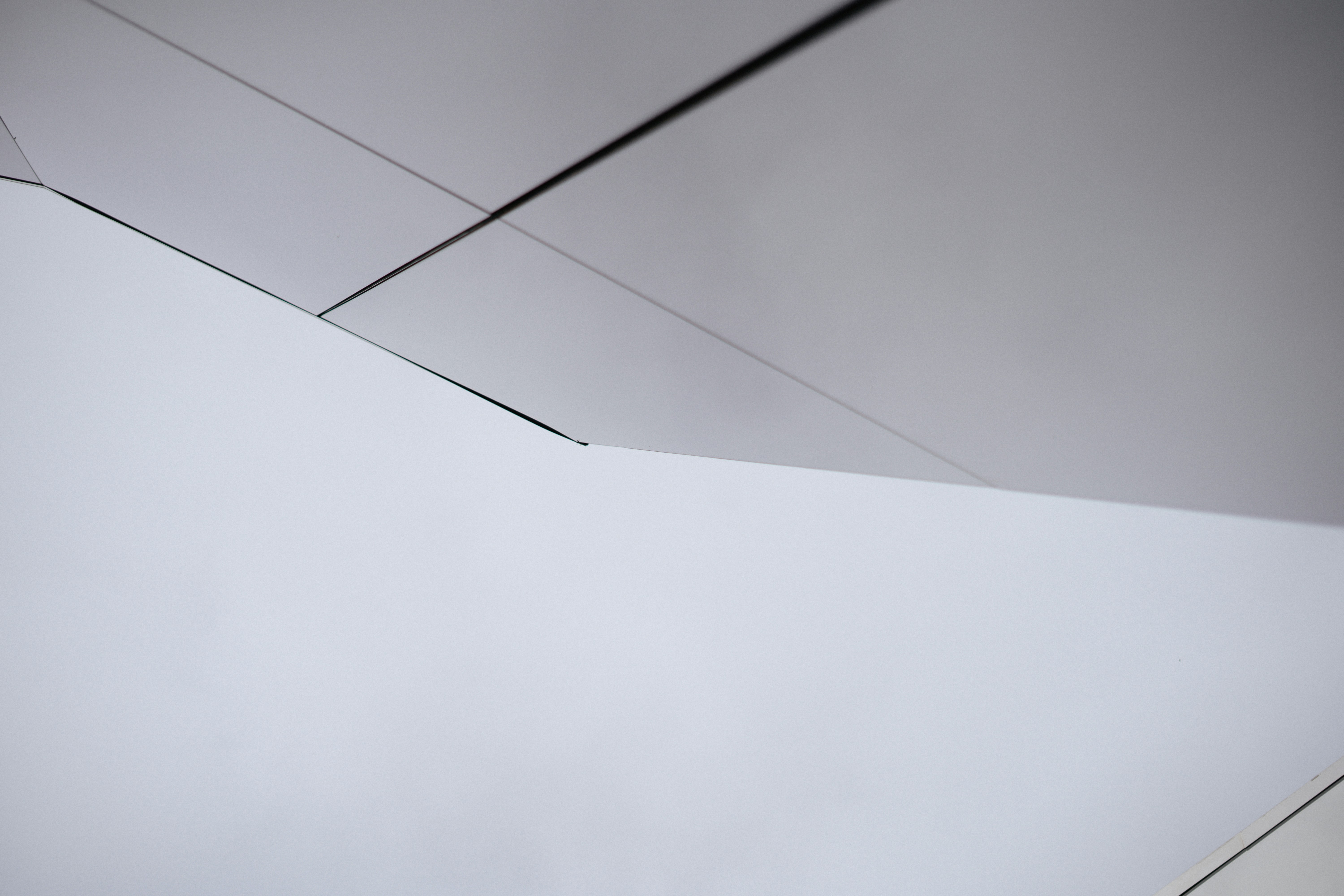 Photo by albina___white