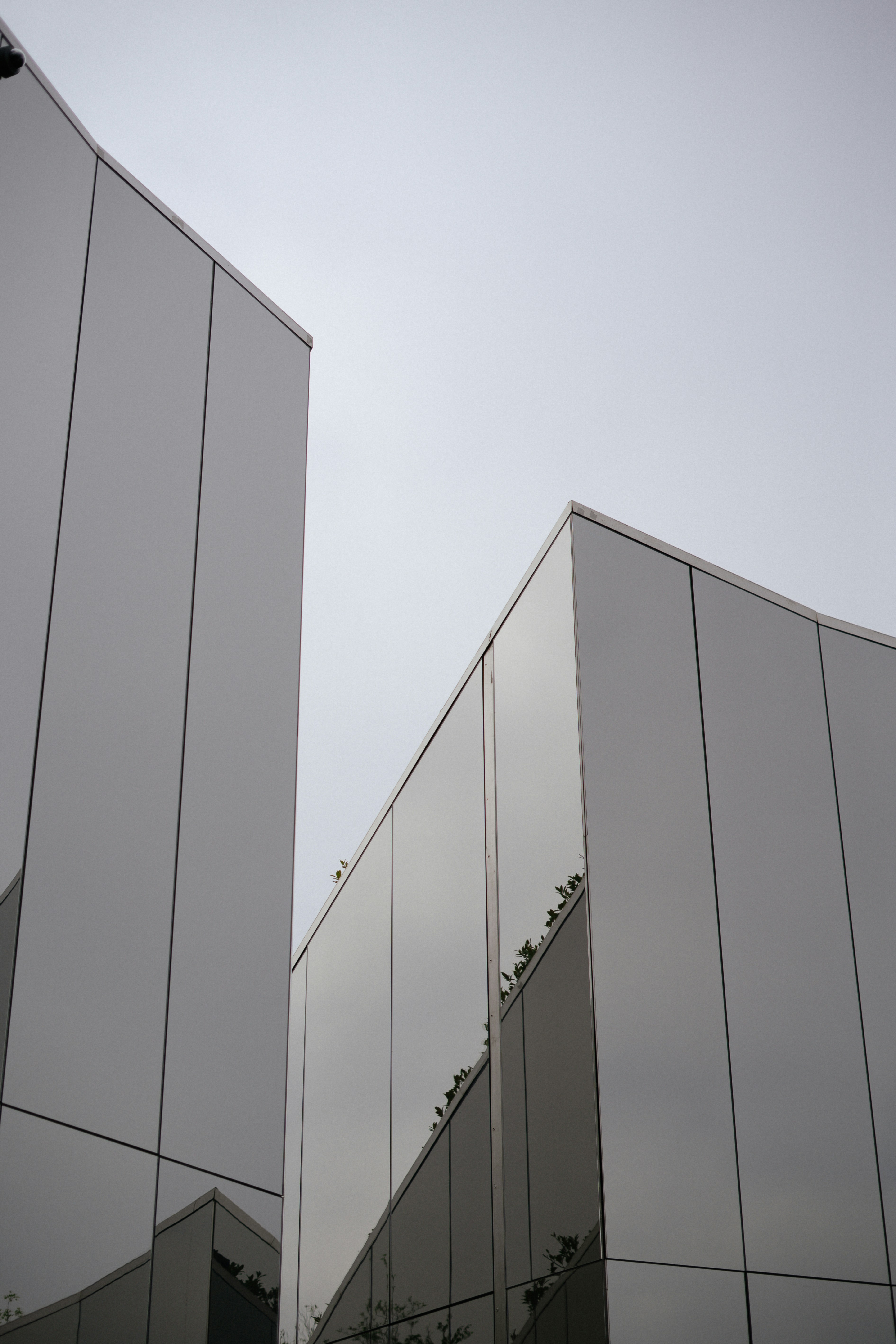 Photo by albina___white