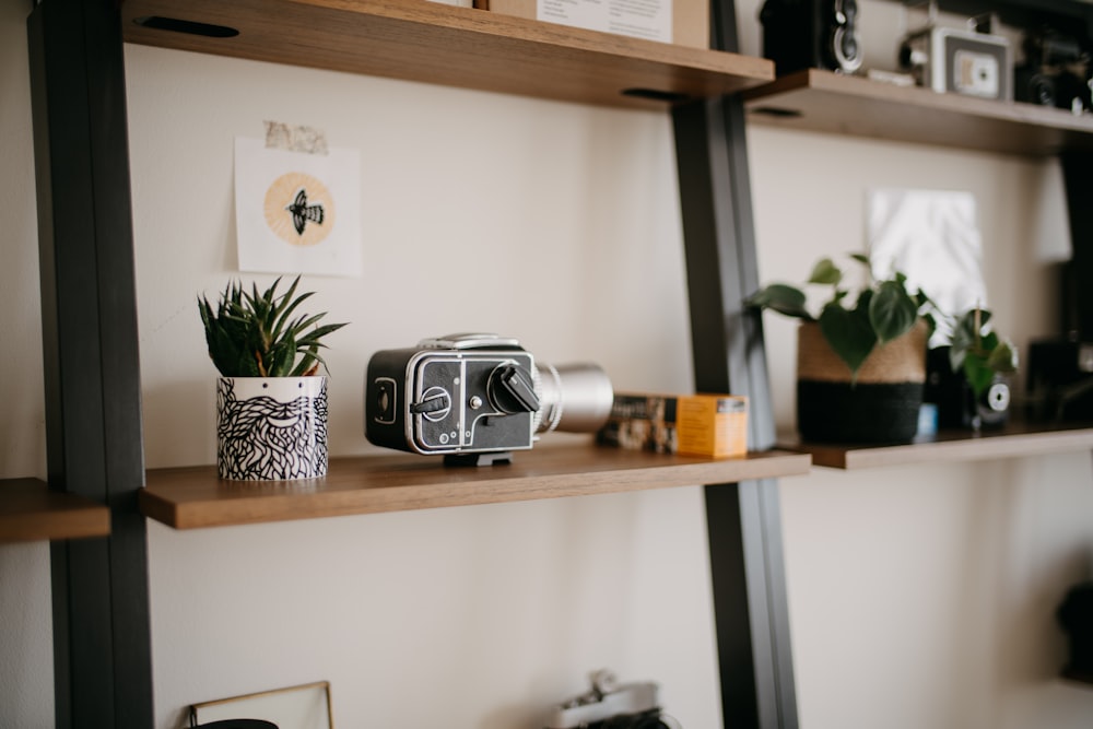 a shelf with a camera and a potted plant