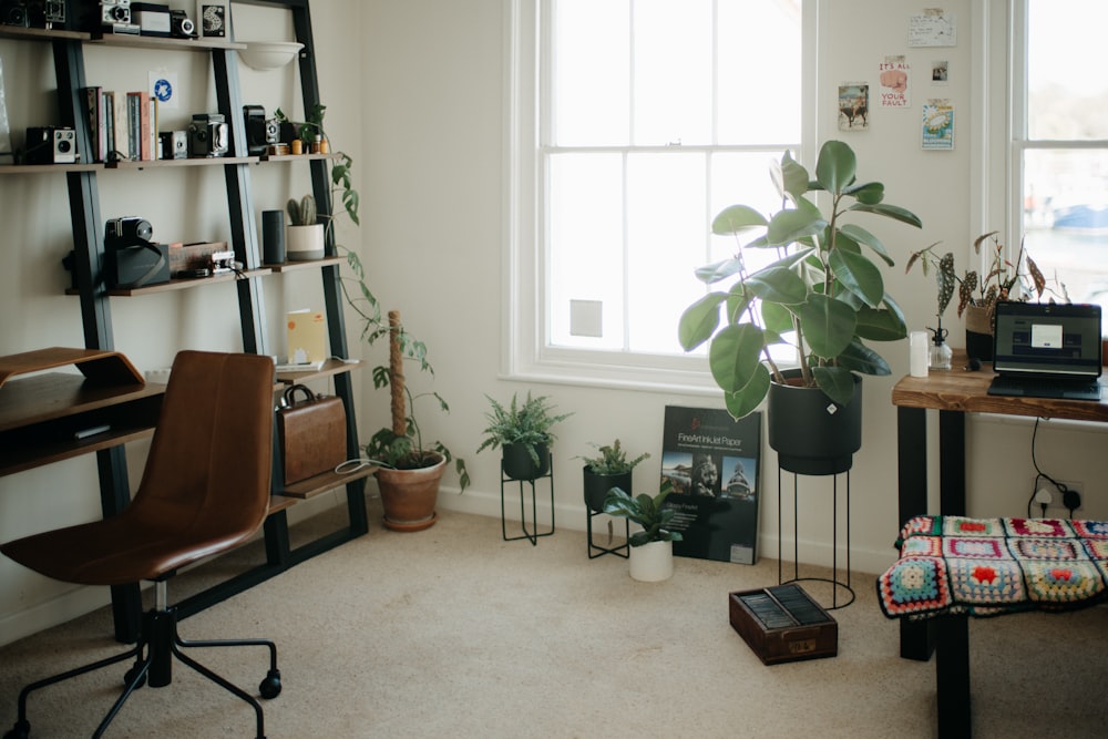 a room with a desk, chair, bookshelf and a potted plant