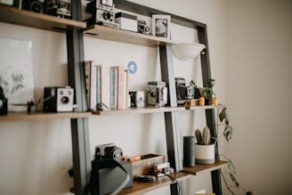 a shelf filled with cameras and books on top of a wall