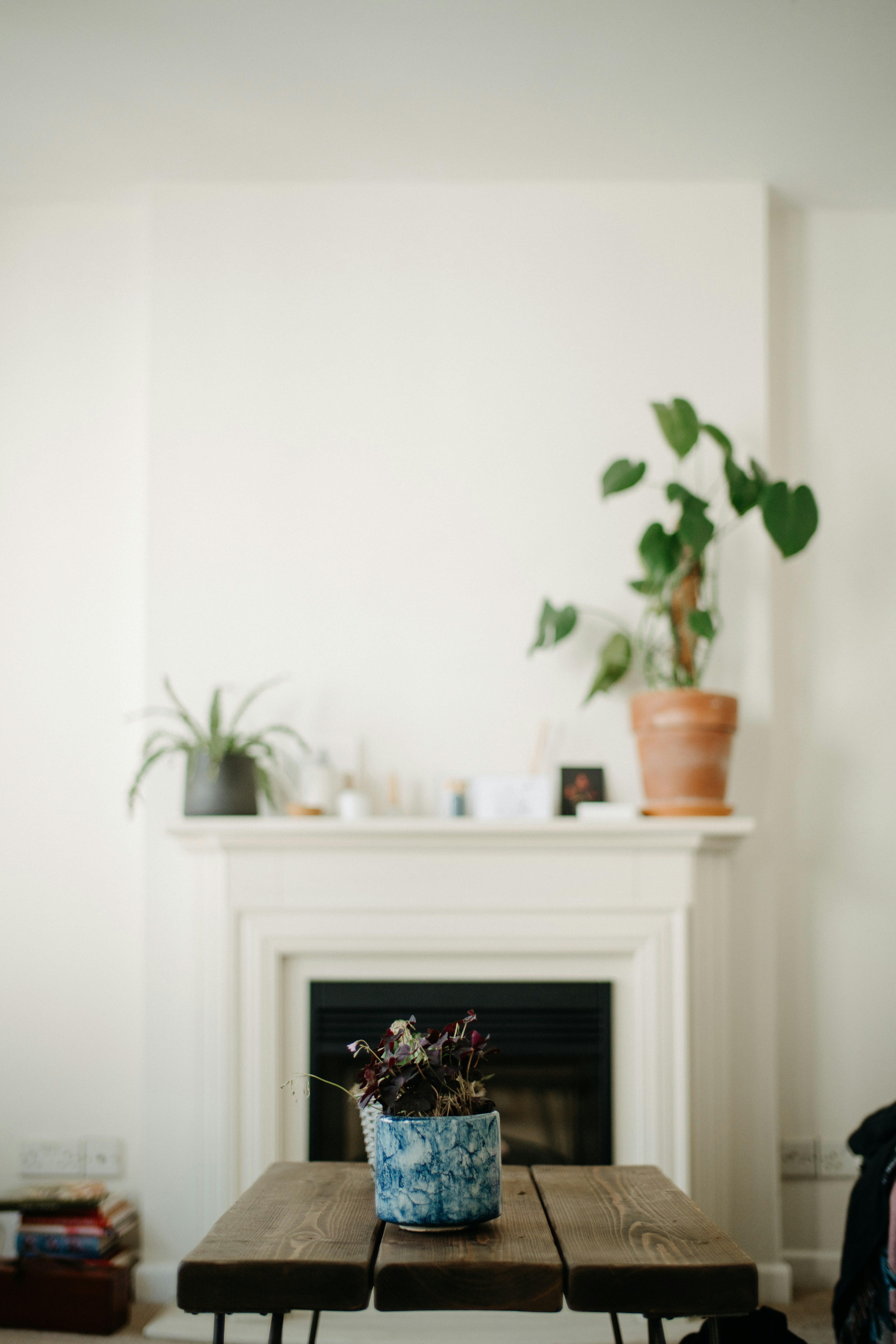a table with a potted plant on top of it