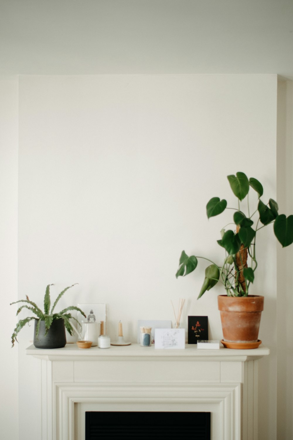 a fireplace with a potted plant on top of it