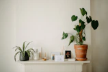 Minimalist home decor setup with a modern planter and stylish accessories on a white shelf.