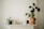 A minimalistic shelf adorned with houseplants and decorative items. On the left, a small dark pot holds a green plant with long, slender leaves. Next to it, a small white watering can and a neutral-colored candle in a holder. A plant with large, heart-shaped leaves grows in a terracotta pot, dominating the right side. Various decorative items and cards are arranged neatly, contributing to a simple yet elegant aesthetic.
