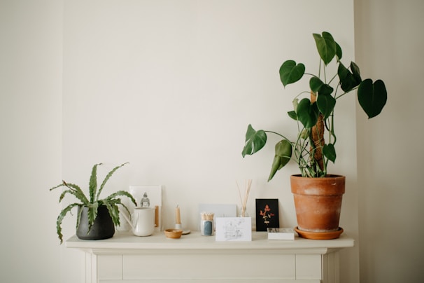 A minimalistic shelf adorned with houseplants and decorative items. On the left, a small dark pot holds a green plant with long, slender leaves. Next to it, a small white watering can and a neutral-colored candle in a holder. A plant with large, heart-shaped leaves grows in a terracotta pot, dominating the right side. Various decorative items and cards are arranged neatly, contributing to a simple yet elegant aesthetic.