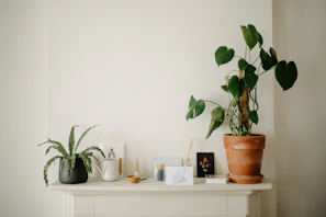 Minimalist home decor setup with a modern planter and stylish accessories on a white shelf.
