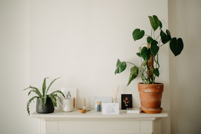 A beautifully styled shelf adorned with candles, plants, and delicate decorative accents.