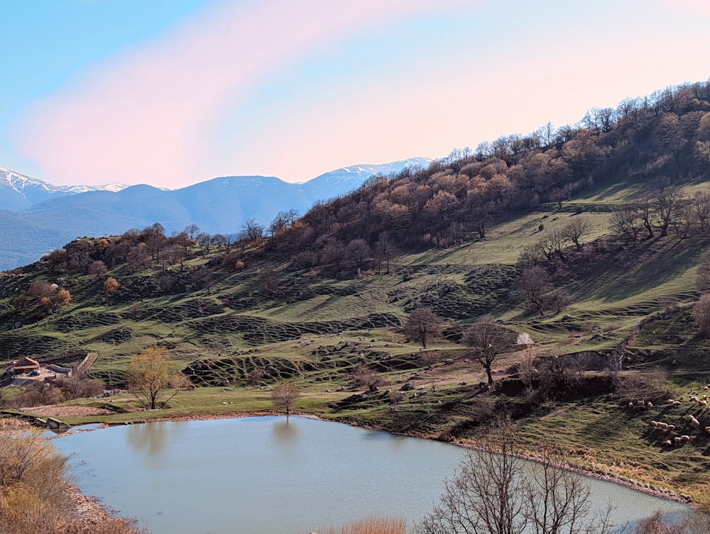 Un pequeño lago en medio de un valle verde