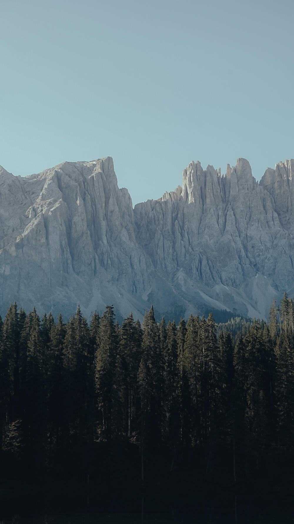 a mountain range with trees in the foreground