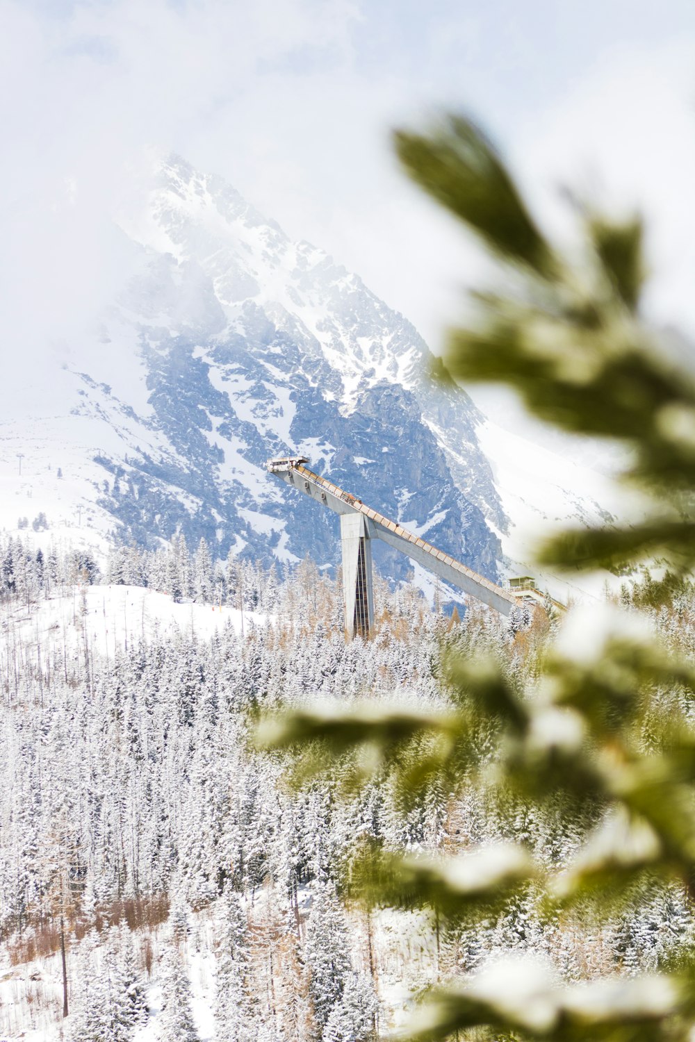 a view of a mountain with a crane in the foreground