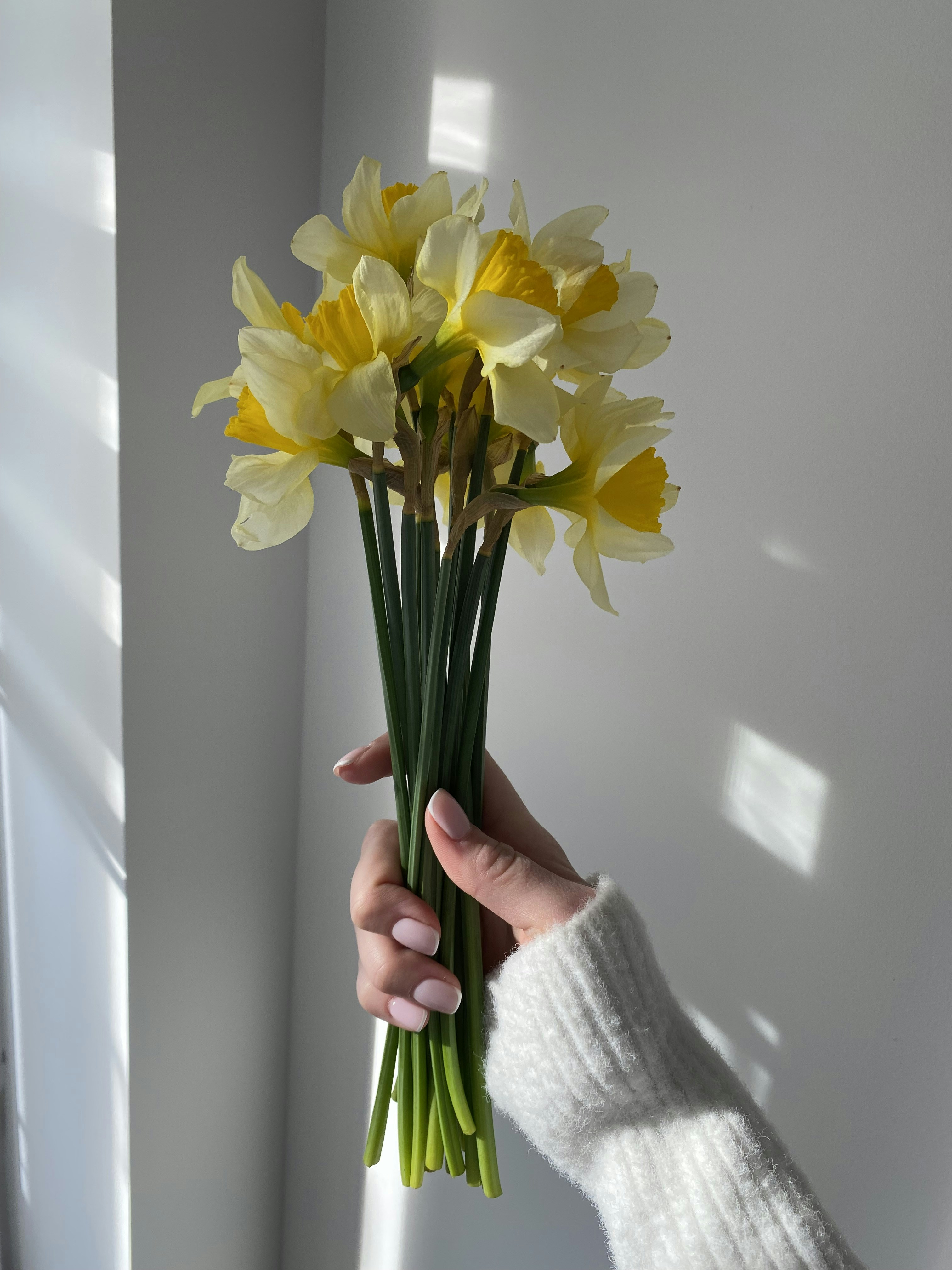 Emma Gc (@emma_076) | Unsplash Photo Community