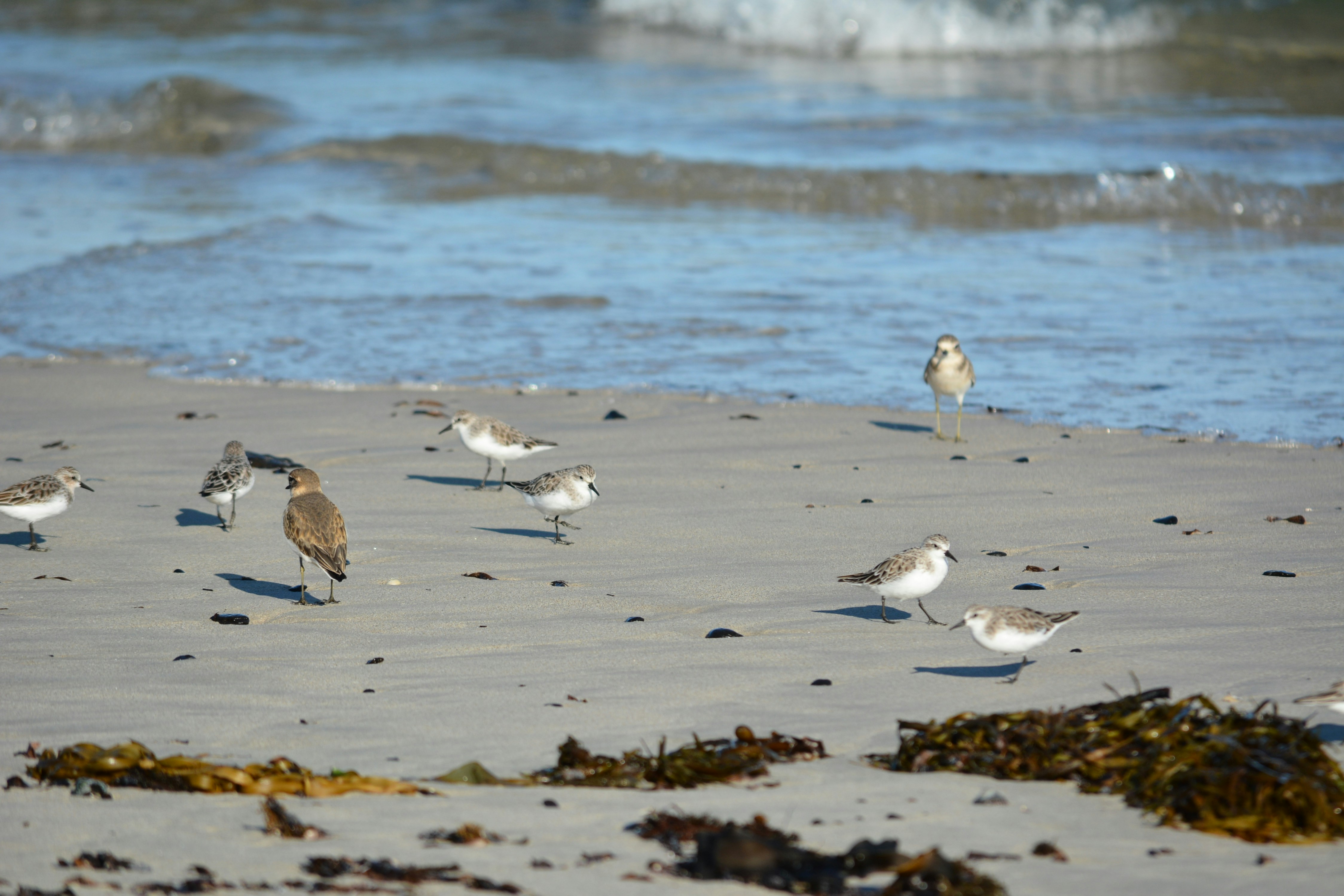 Photo by richard7seals