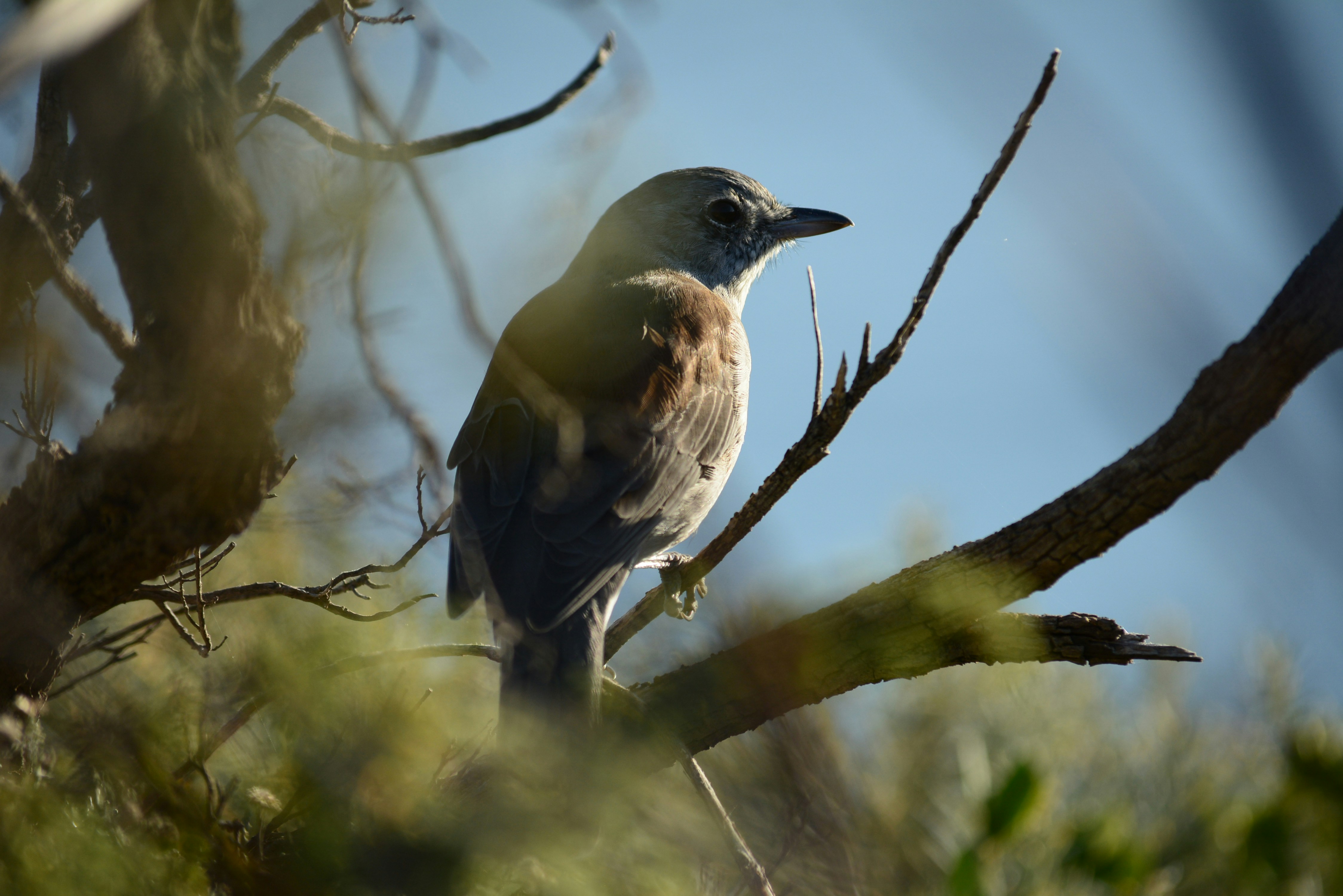 Photo by richard7seals