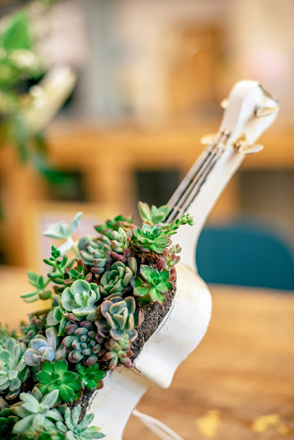 a white guitar shaped planter sitting on top of a wooden table