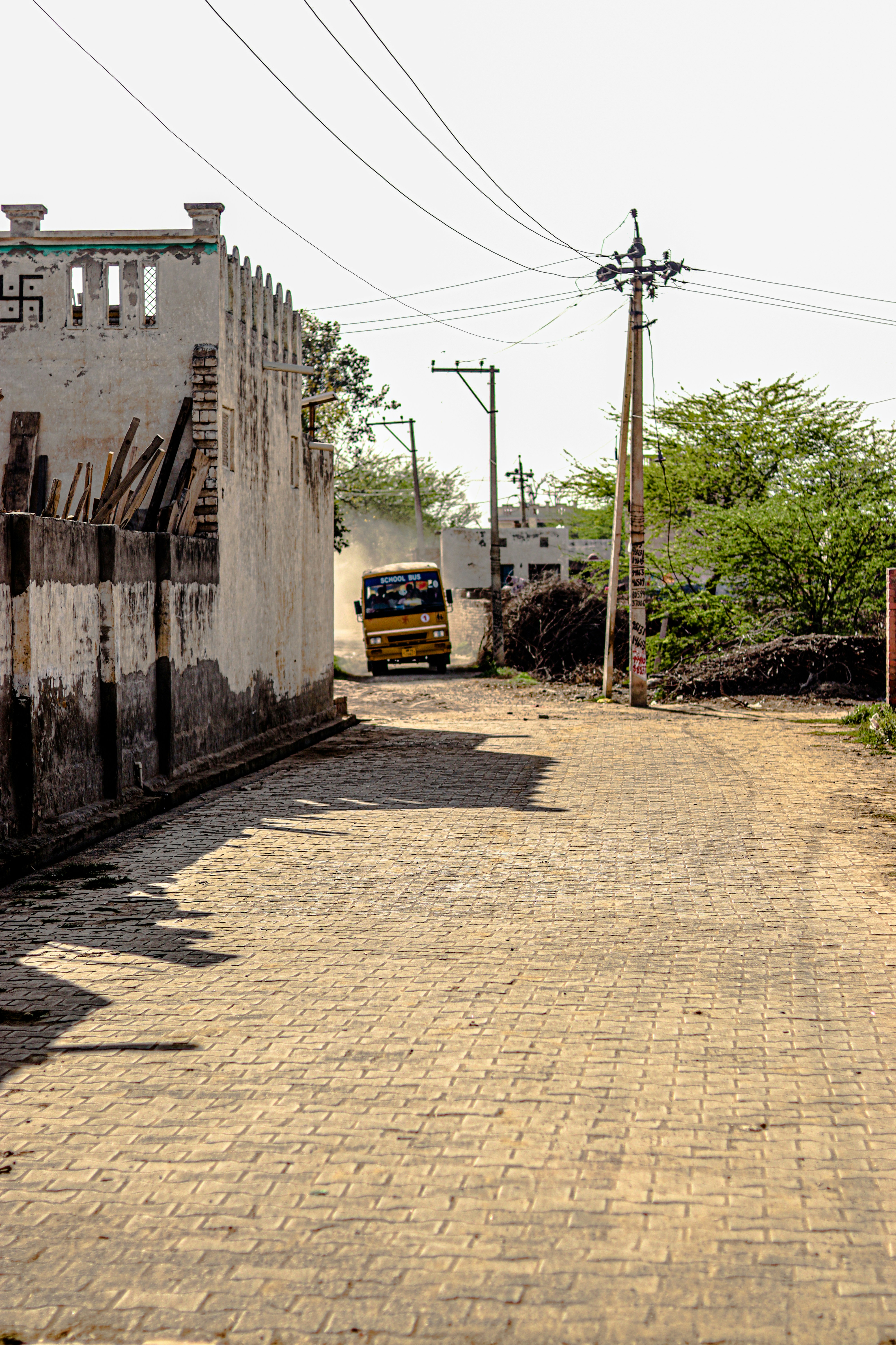 Photo by swastikarora