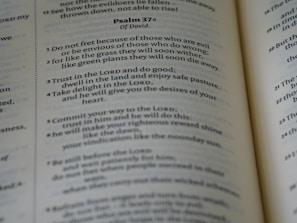 a close up of an open book with text