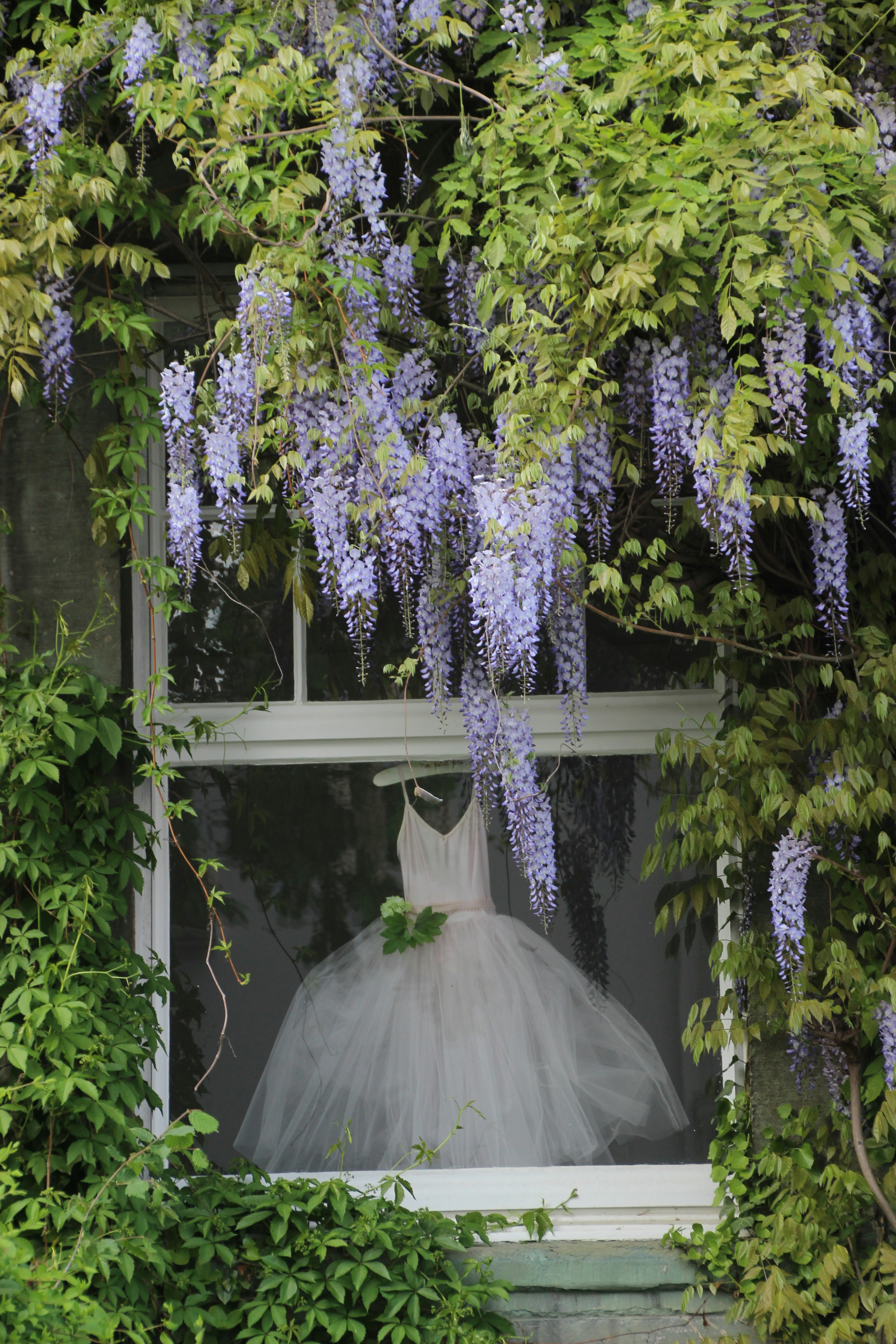 a wedding dress is hanging in a window
