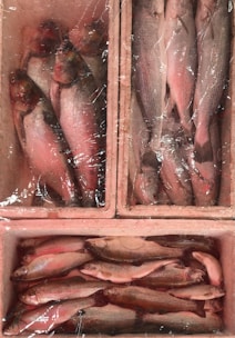 Three compartments of fresh fish are arranged in a grid layout, wrapped in transparent plastic. The fish are predominantly grey with hints of pink and appear to be freshly caught and stacked together.