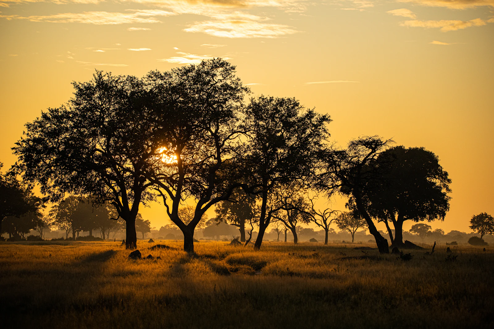 Singita Malilangwe House