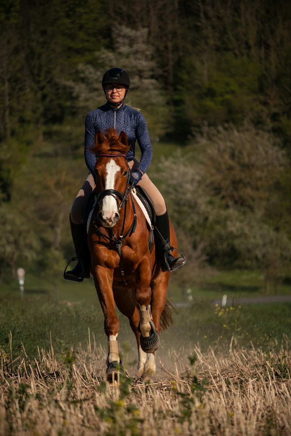 a man riding on the back of a brown horse