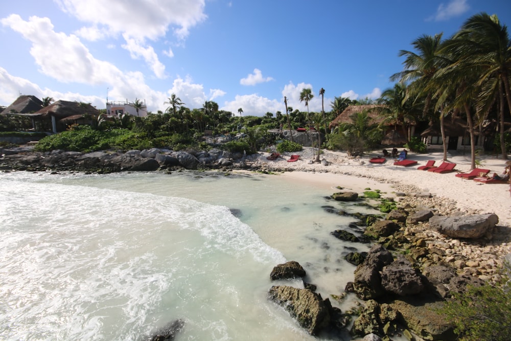 Una playa de arena con palmeras y tumbonas rojas