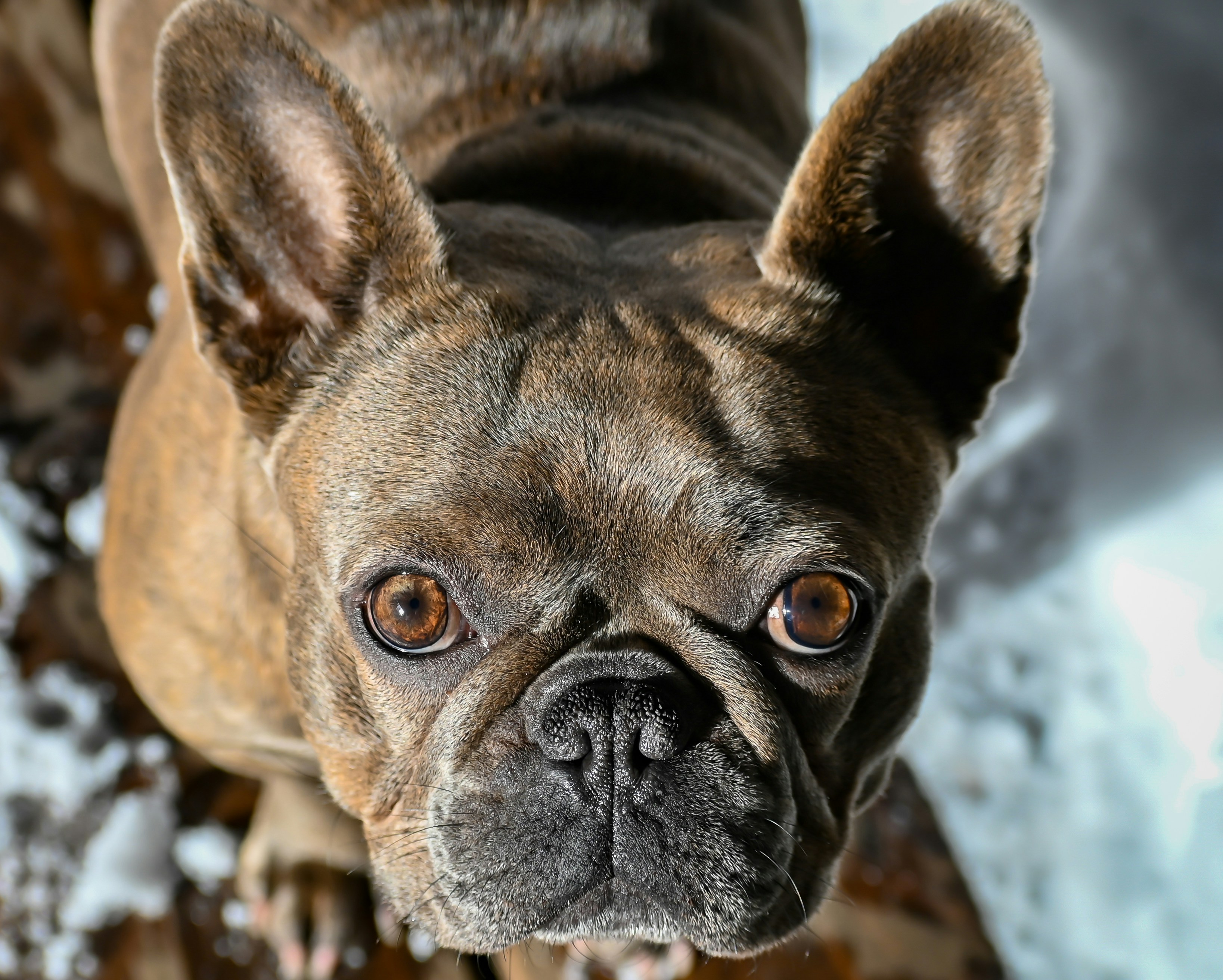 Photo by cristina_glebova