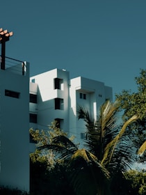 a tall white building sitting next to a palm tree