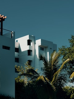 a tall white building sitting next to a palm tree