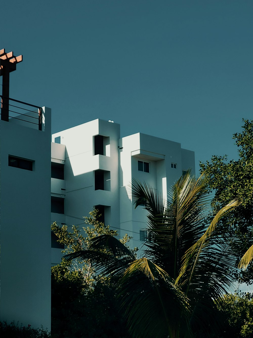 a tall white building sitting next to a palm tree