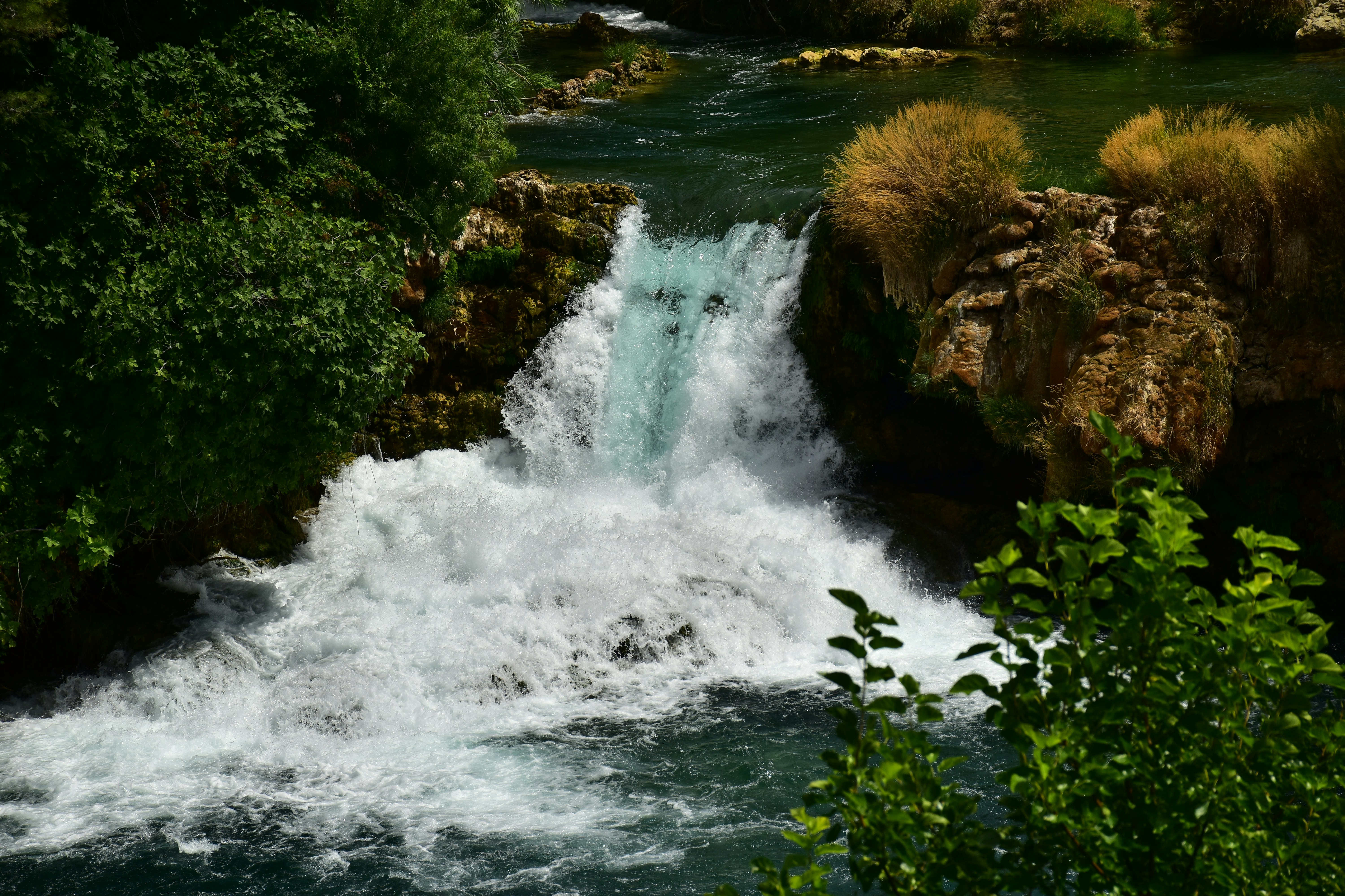 Photo by troesjona