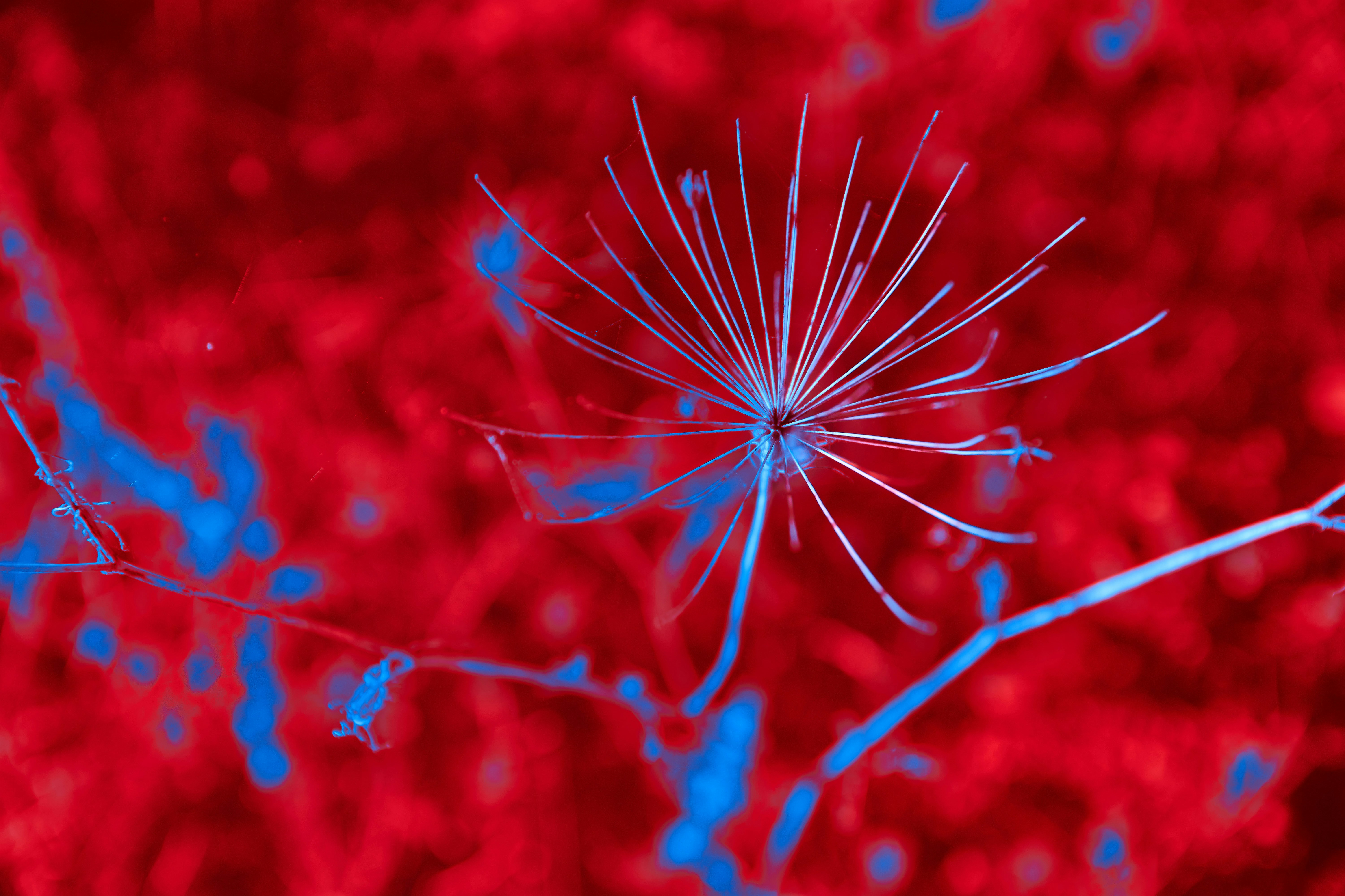 뇌를 공격하는 염증성 사이토카인 차단 3