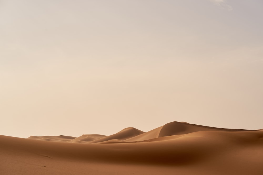 a group of sand dunes in the desert