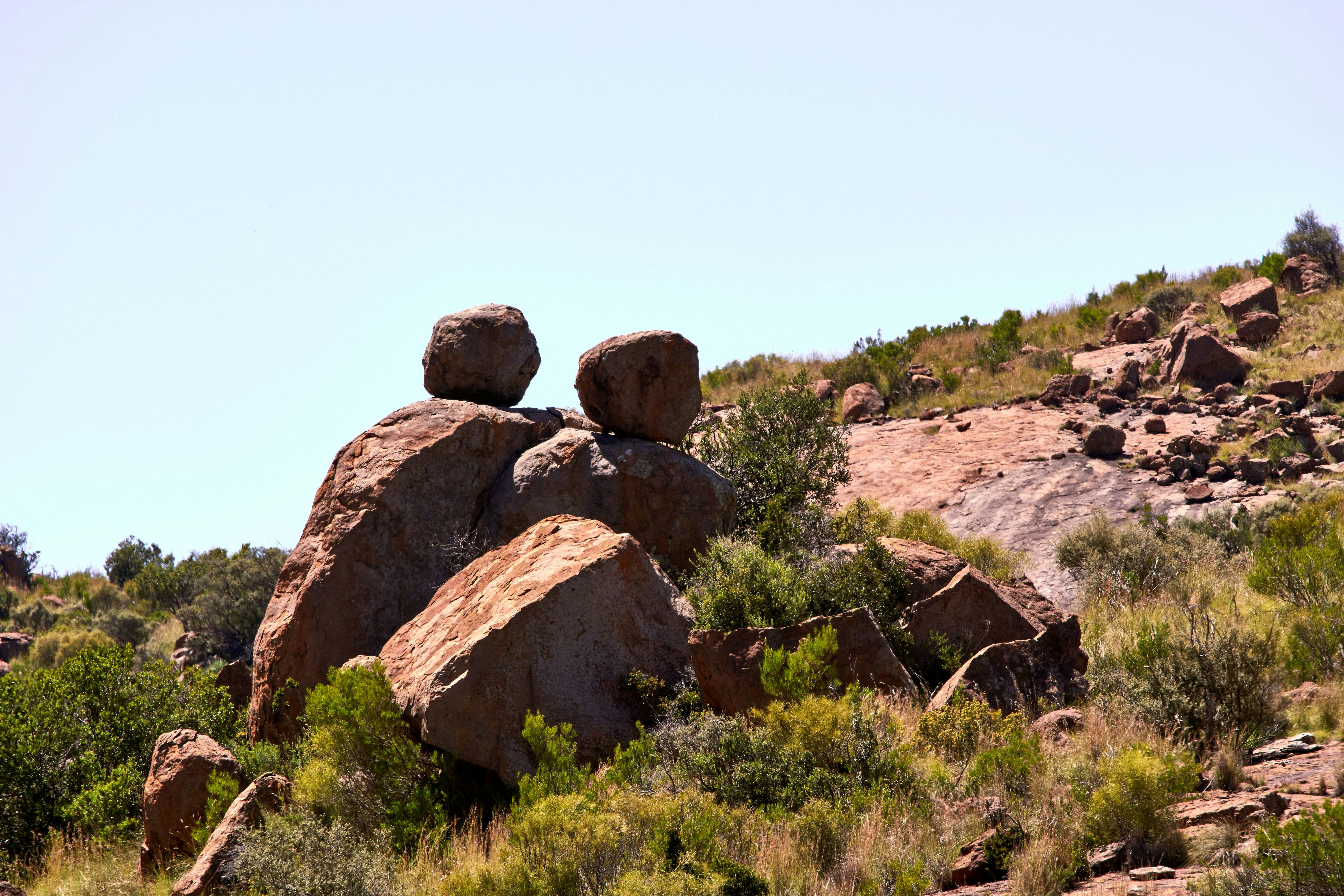 Photo by wolfgang_hasselmann