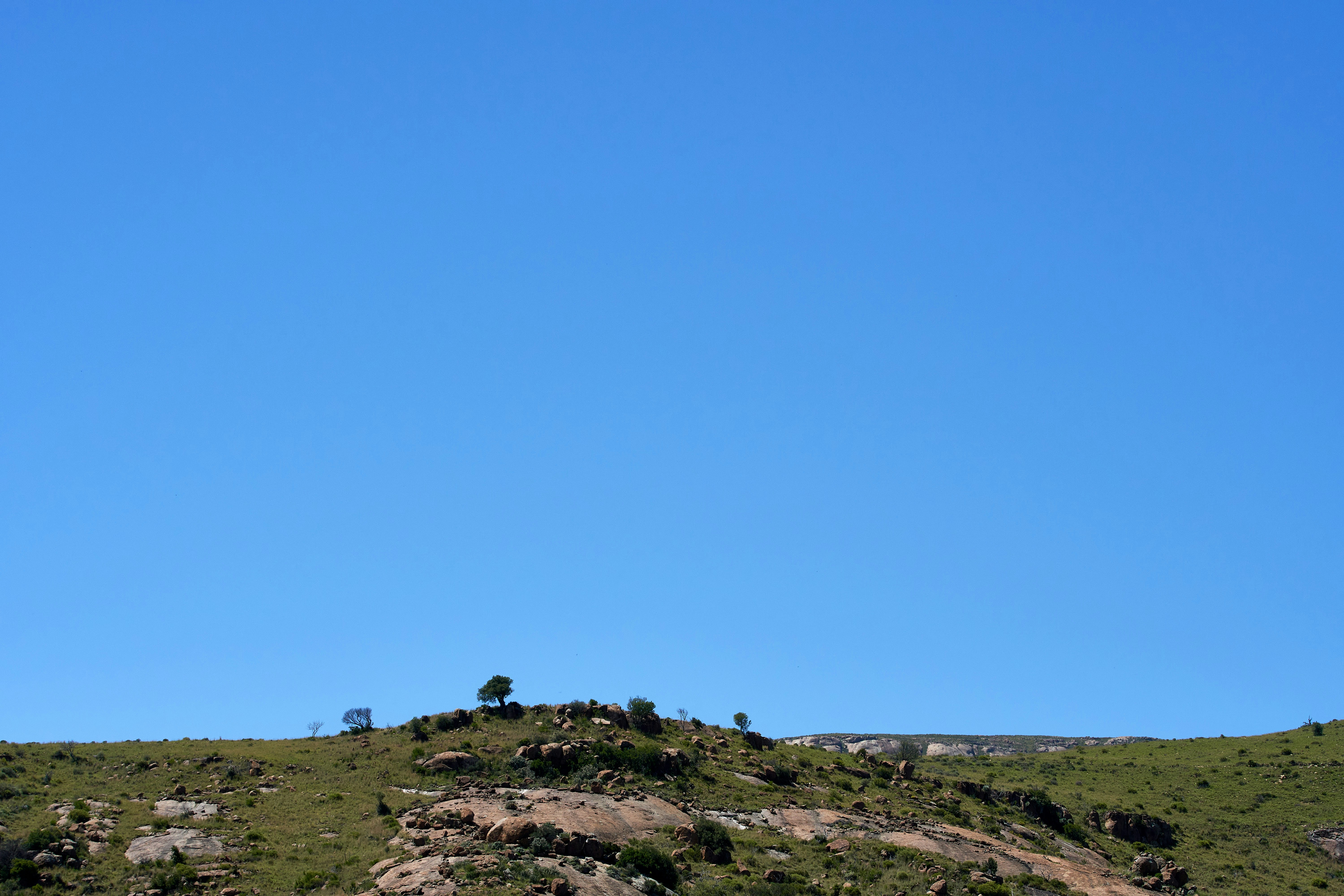 Photo by wolfgang_hasselmann