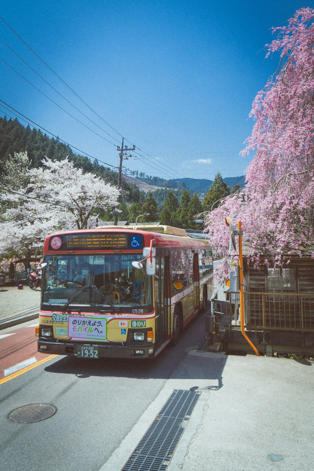 a bus driving down a street next to a pink tree