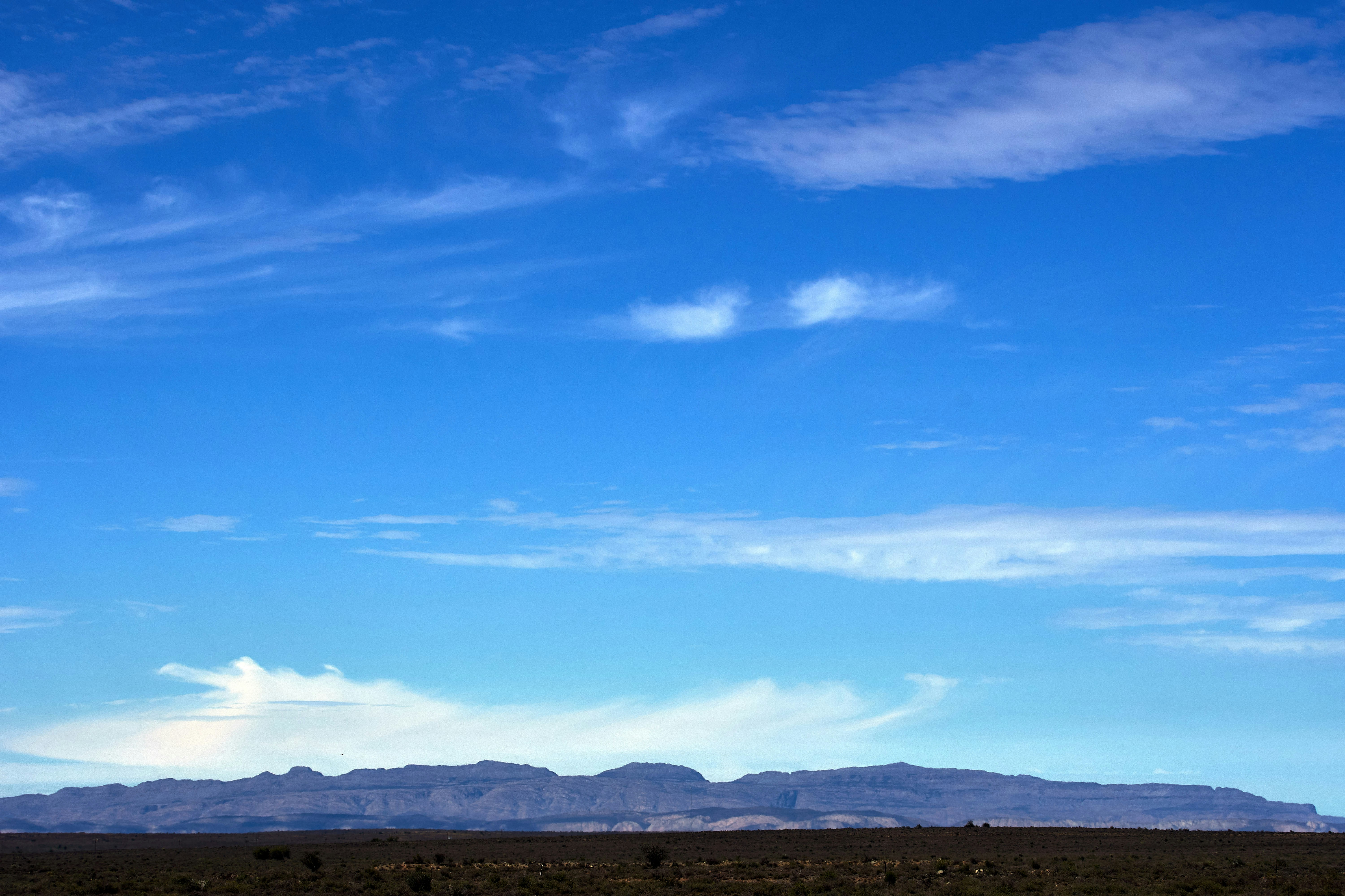 Photo by wolfgang_hasselmann