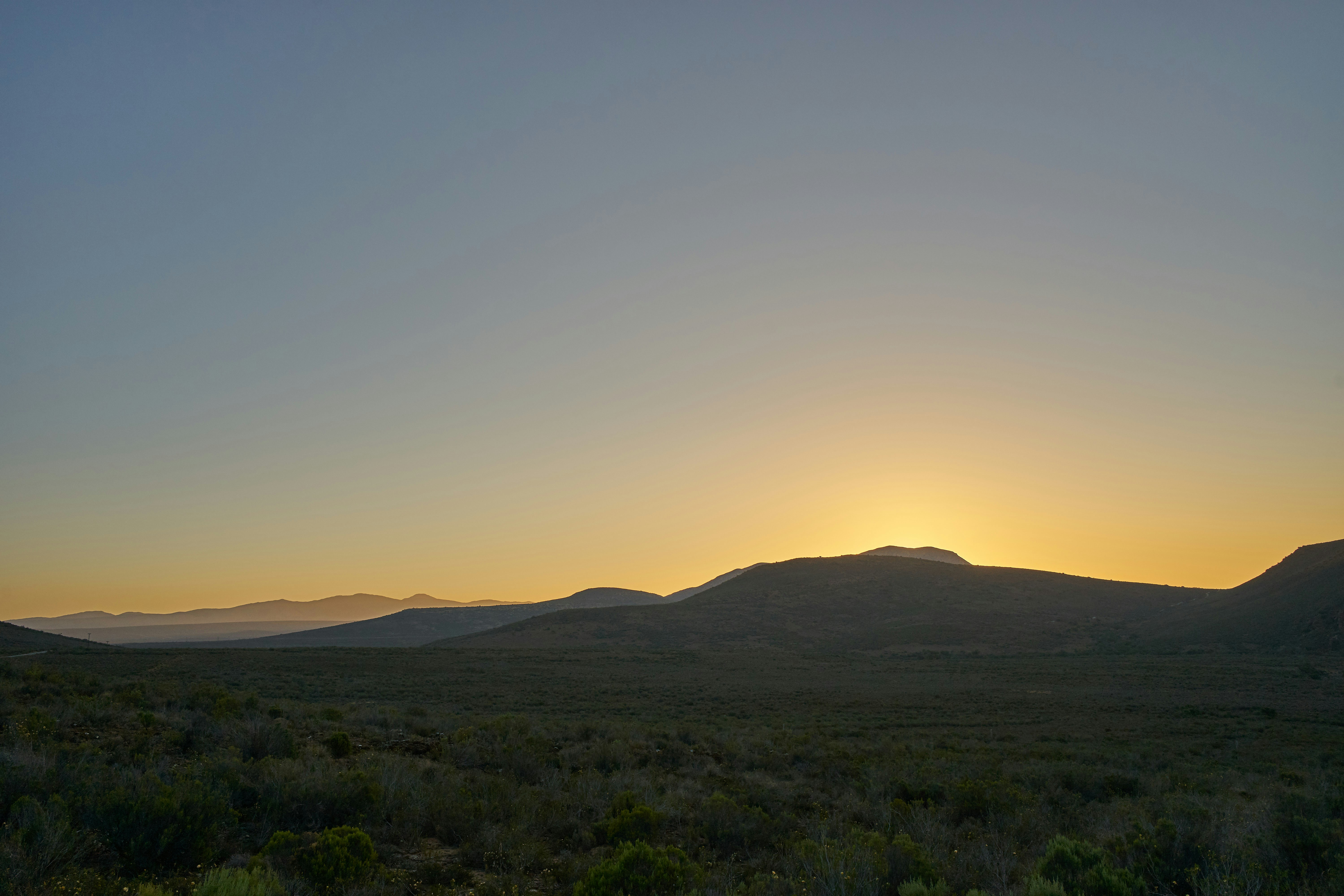 Photo by wolfgang_hasselmann