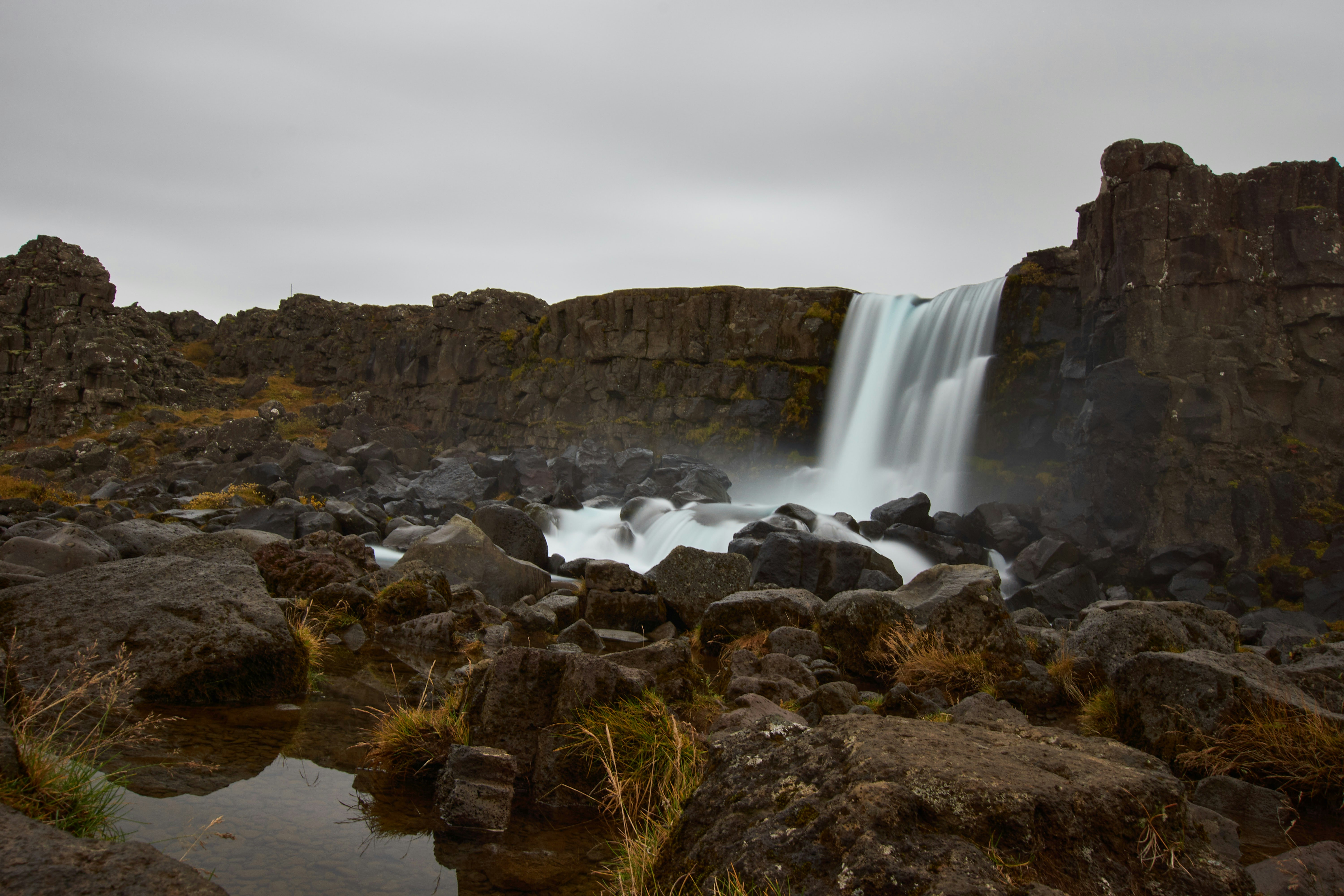 Photo by wolfgang_hasselmann