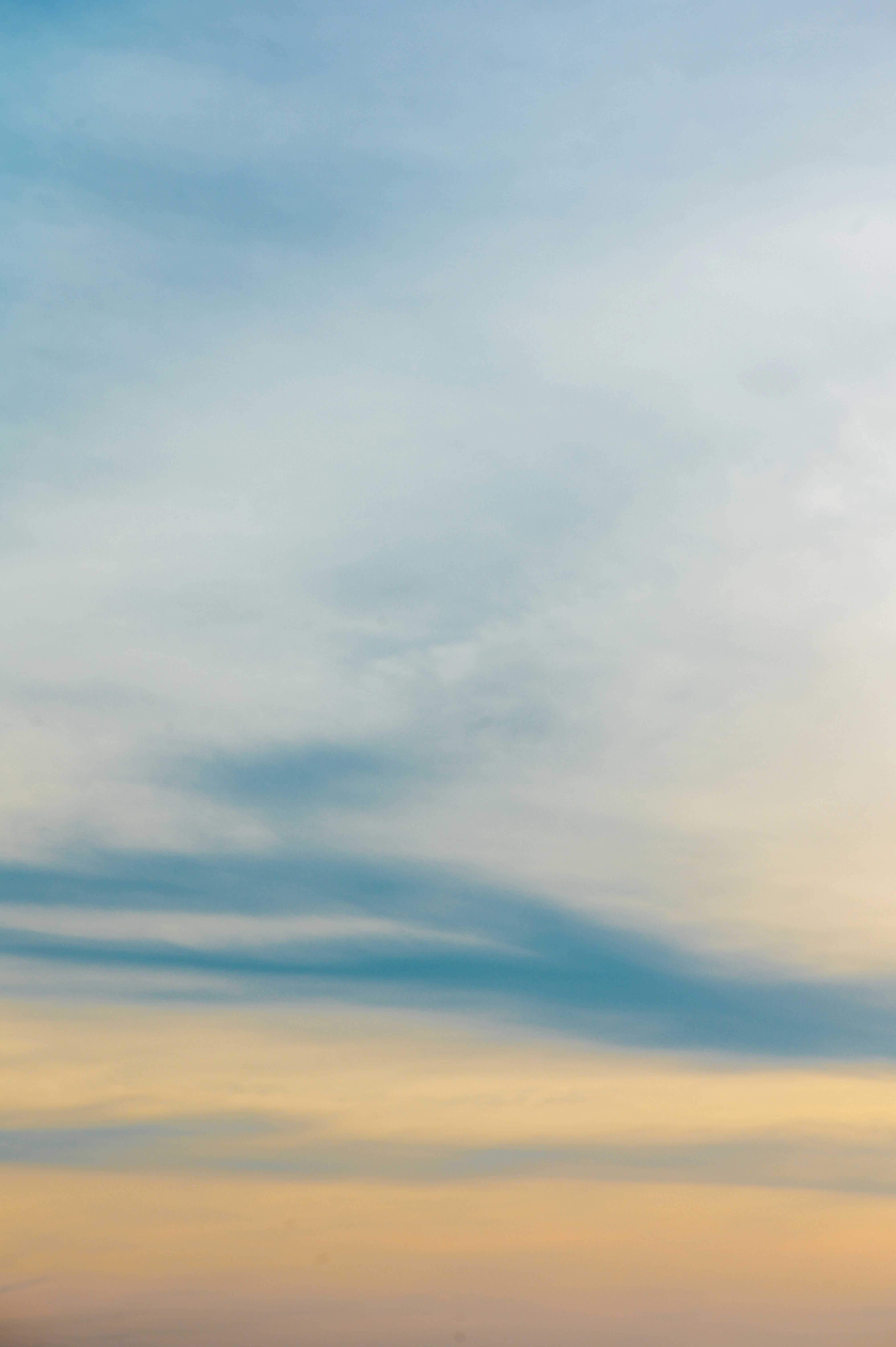 Photo by chuttersnap