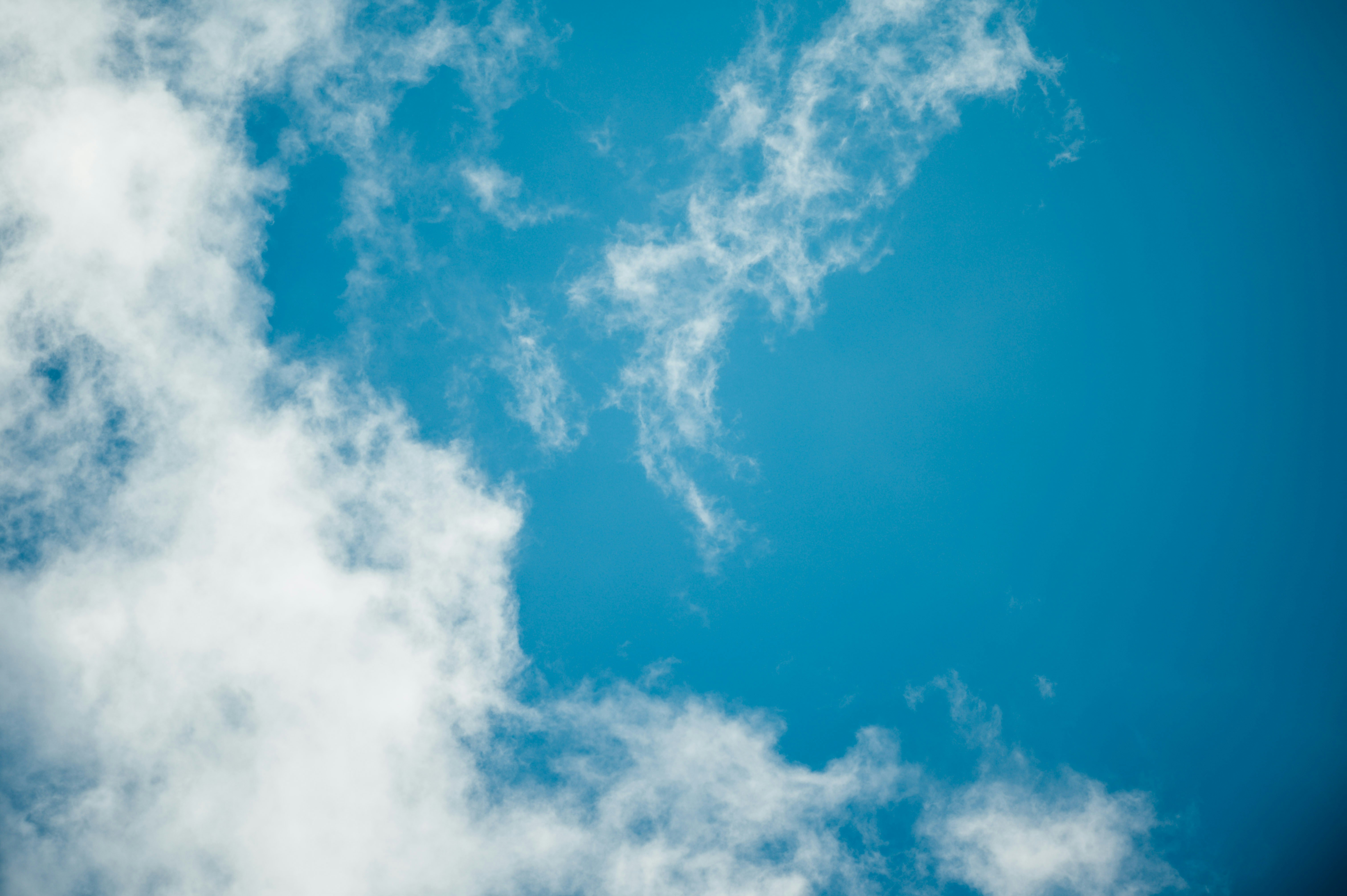 Photo by chuttersnap