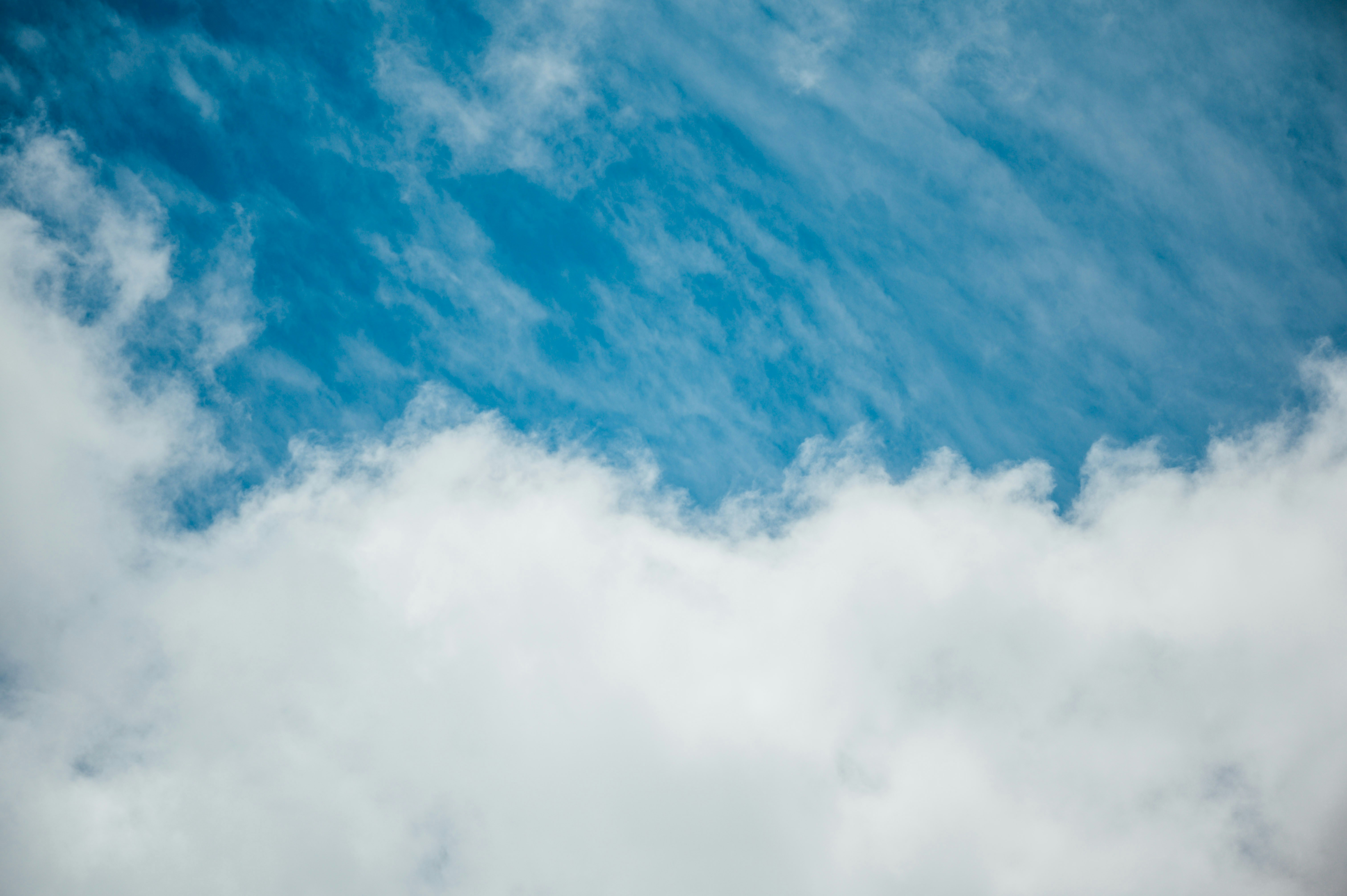 Photo by chuttersnap