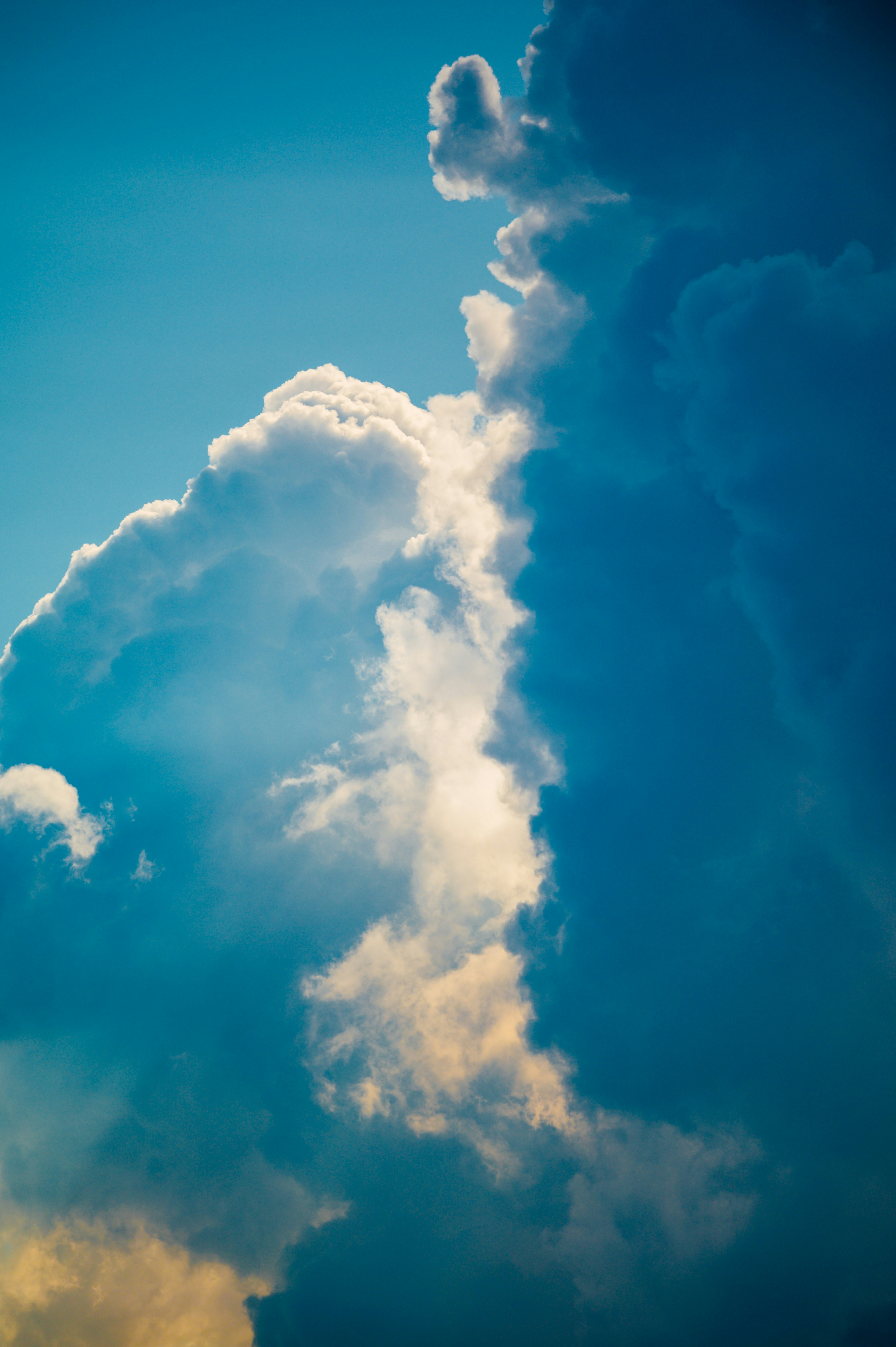 Photo by chuttersnap