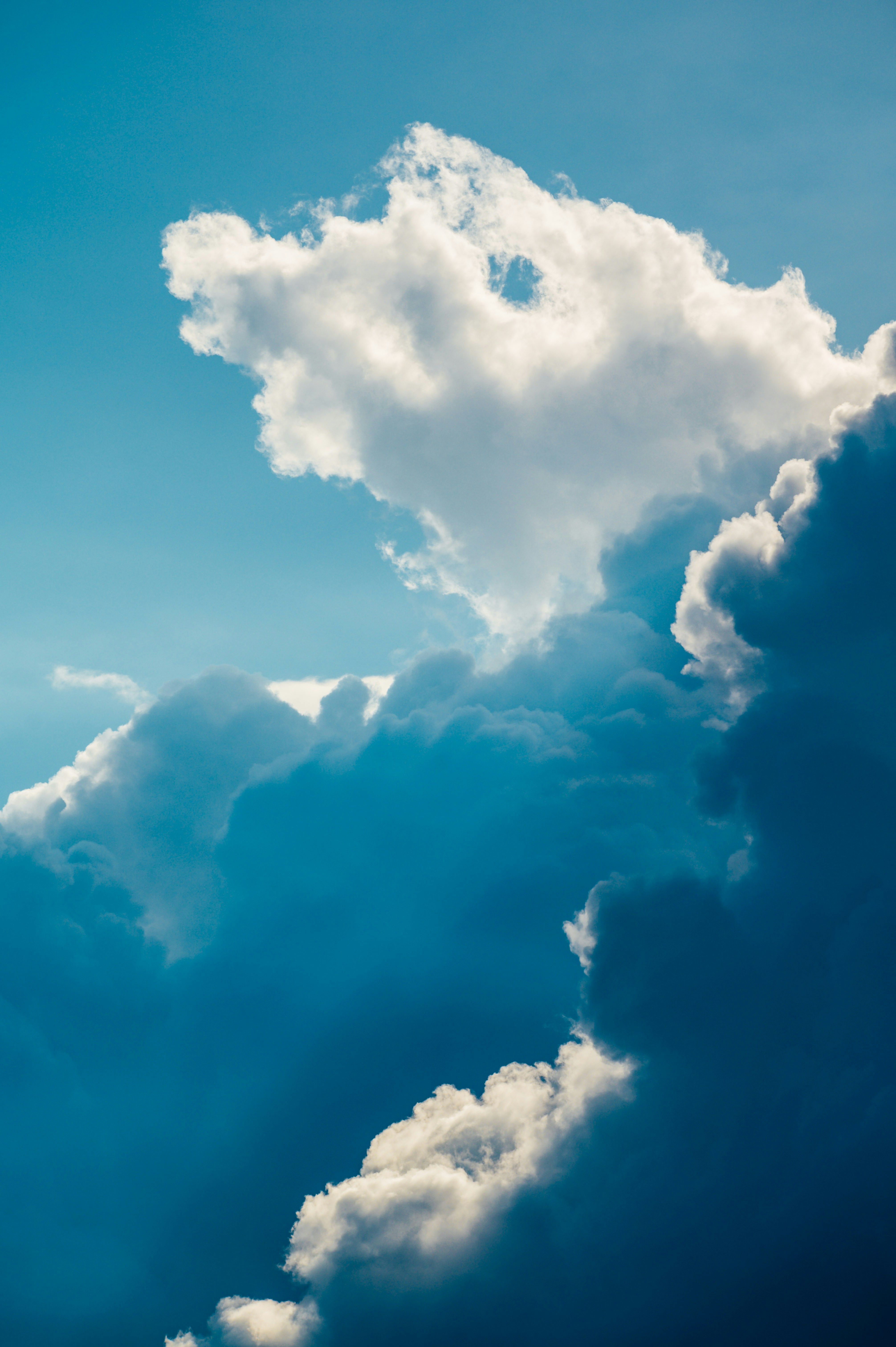 Photo by chuttersnap