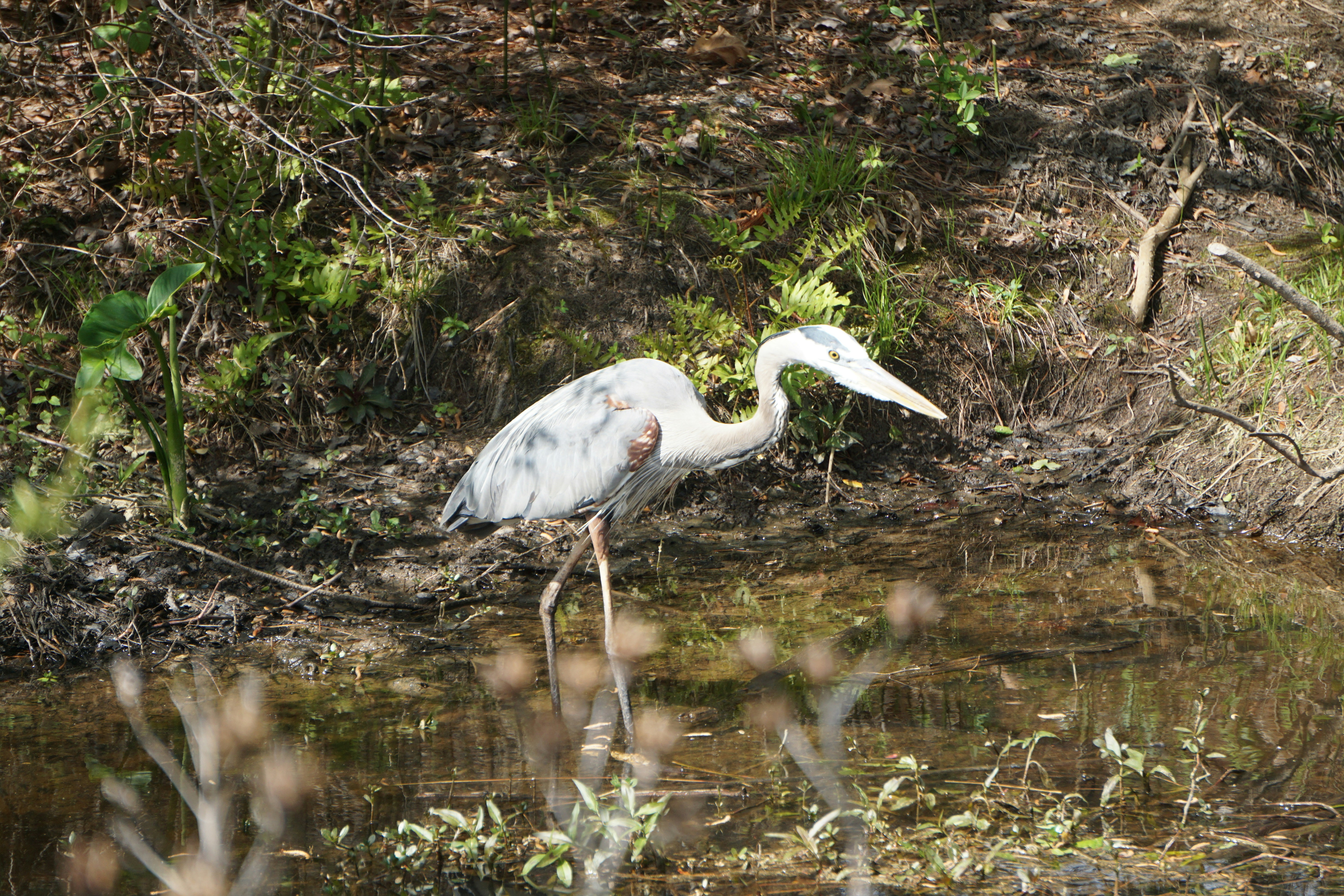 Photo by knurpselknie