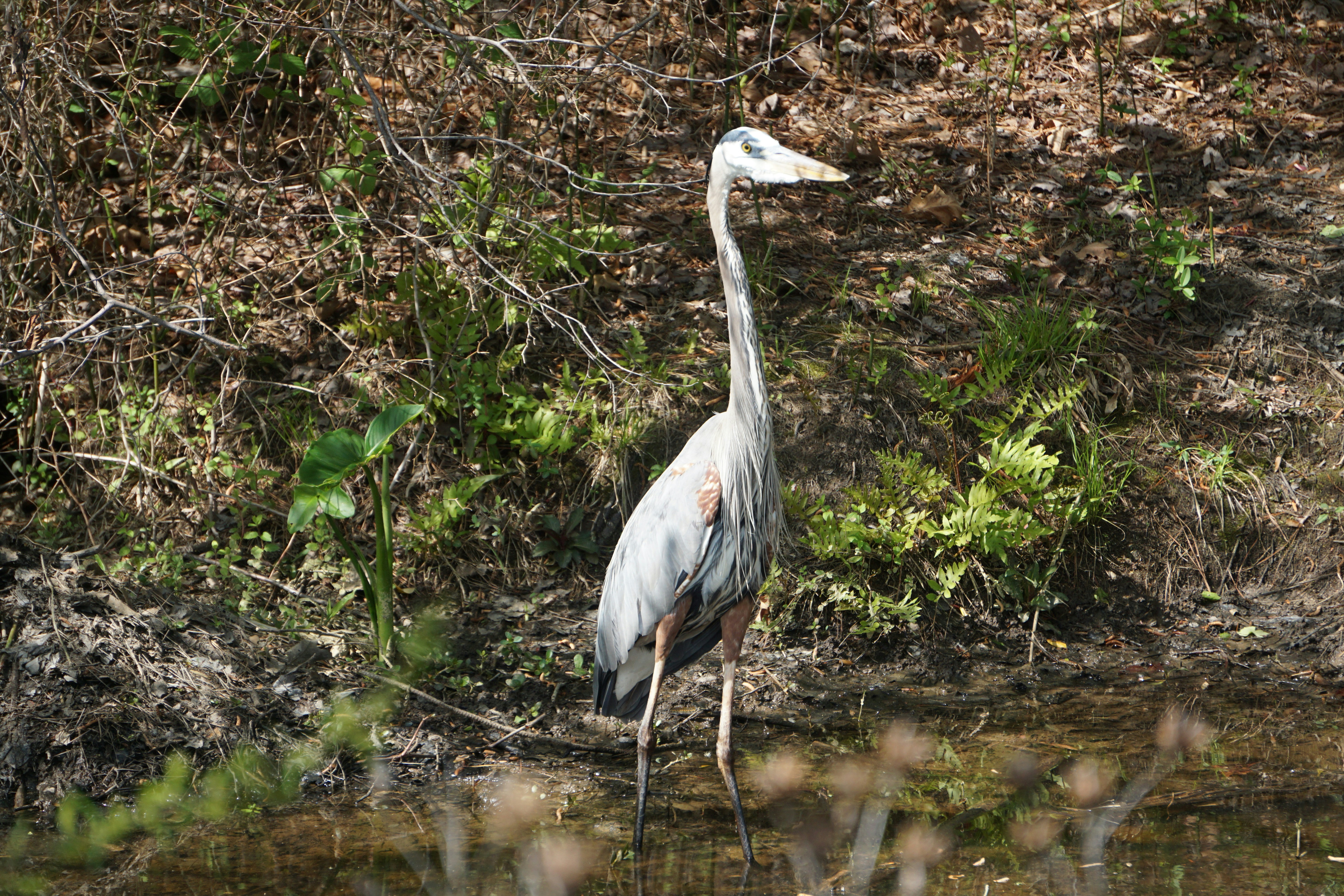 Photo by knurpselknie