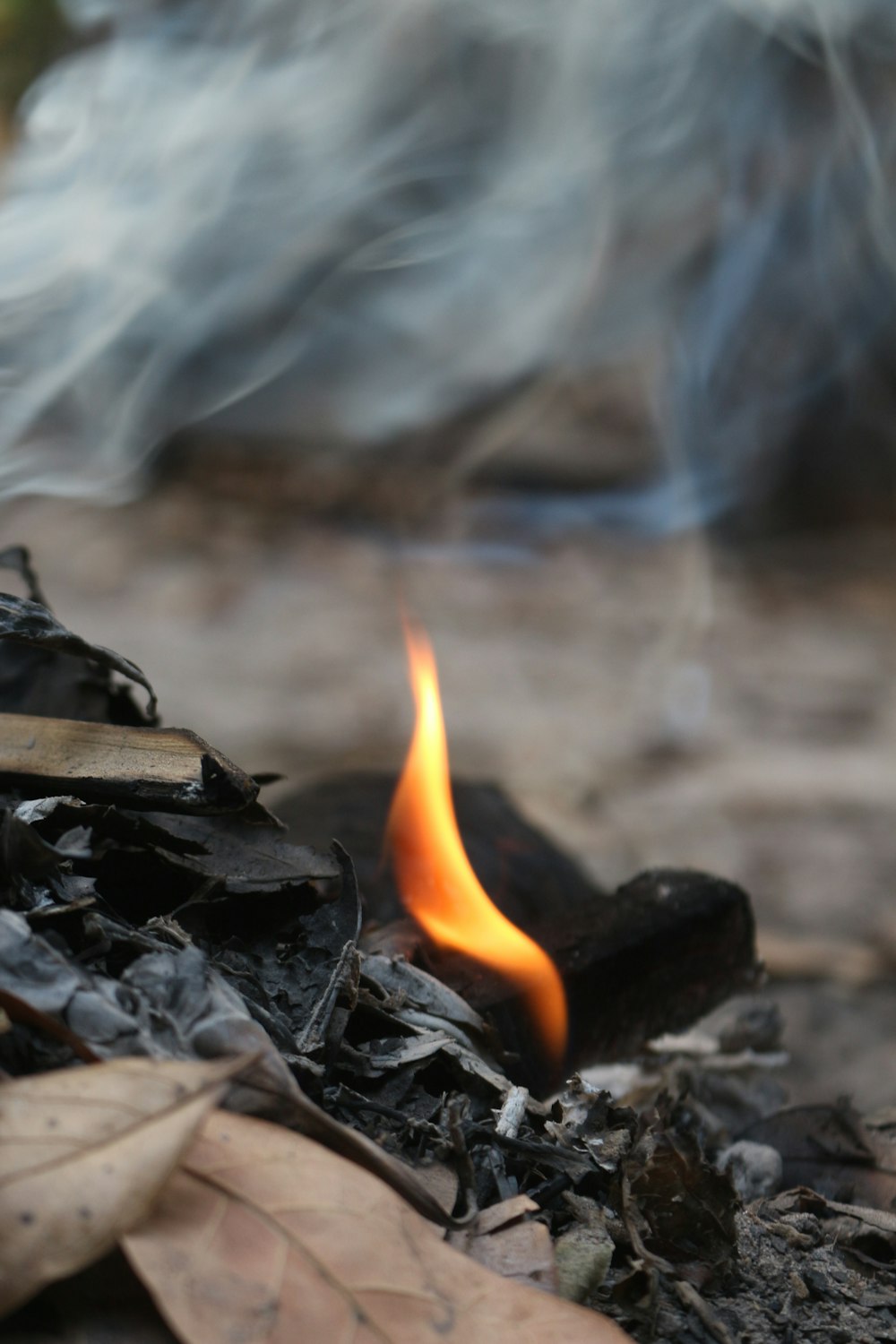 a close up of a fire on a ground