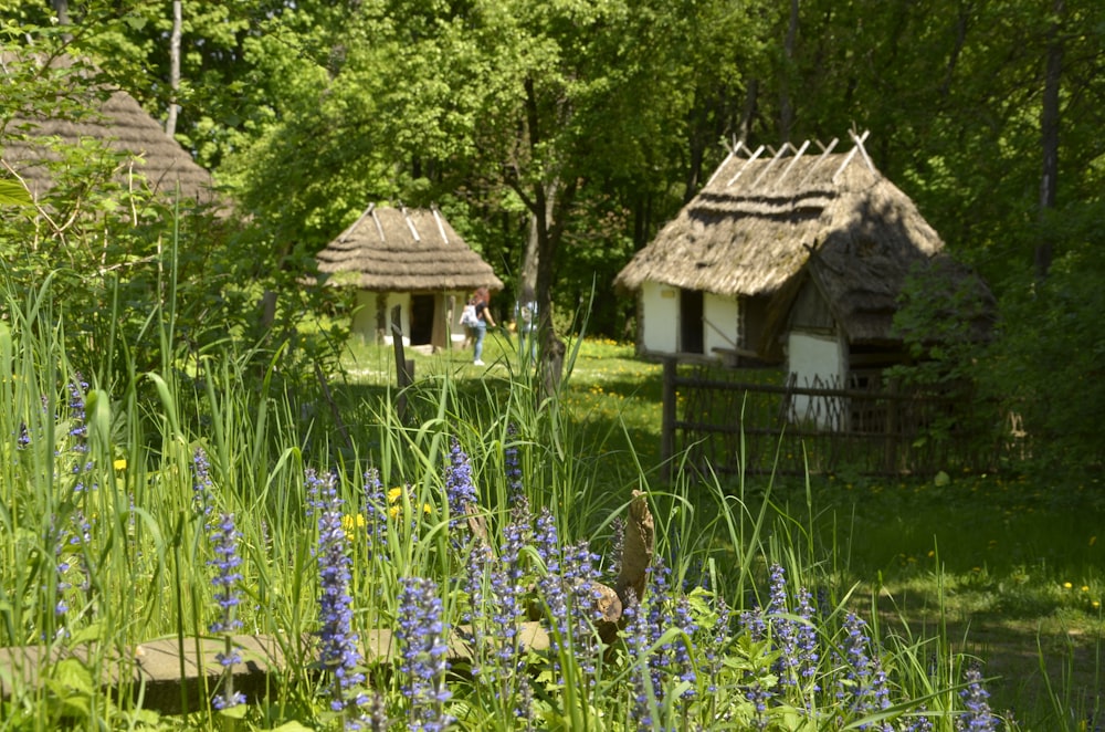 a couple of huts sitting in the middle of a forest